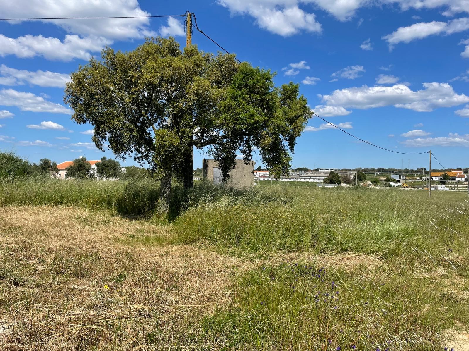 Quinta com 5,9 hectares · Palmela — imagem 5