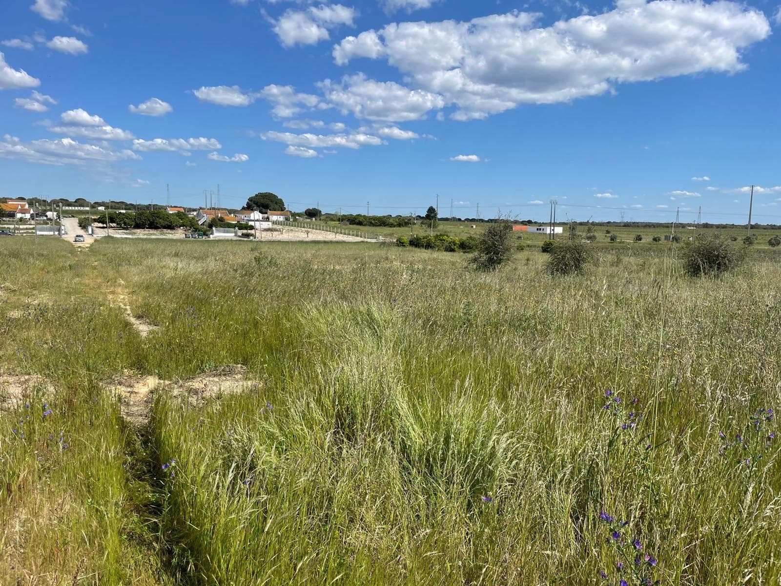 Quinta com 5,9 hectares · Palmela — imagem 7