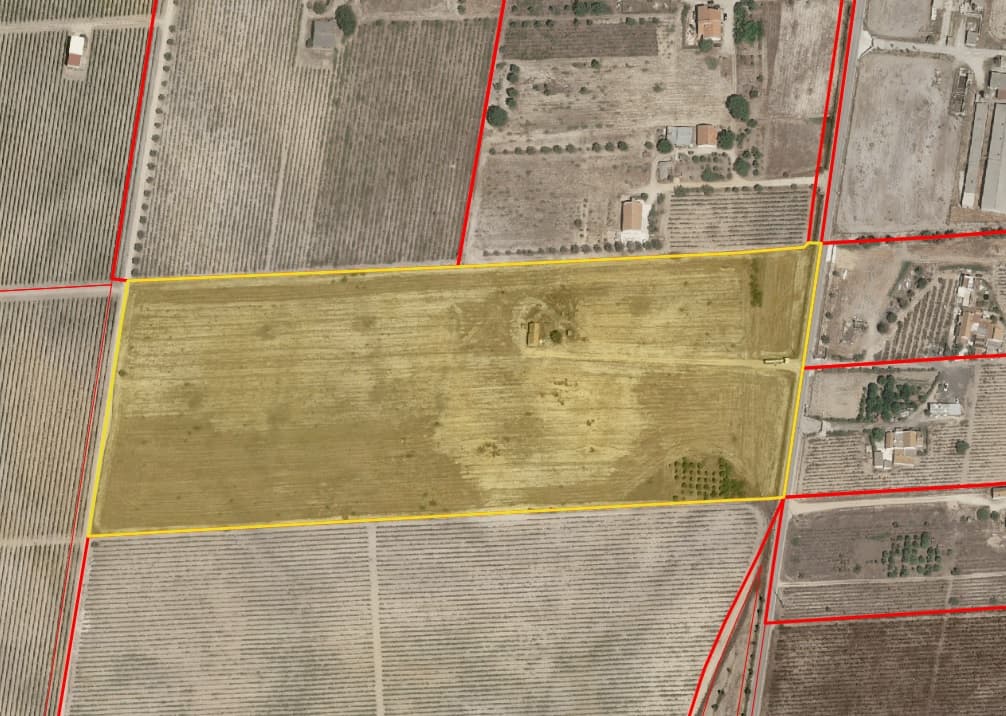 Quinta com 5,9 hectares · Palmela — imagem 4