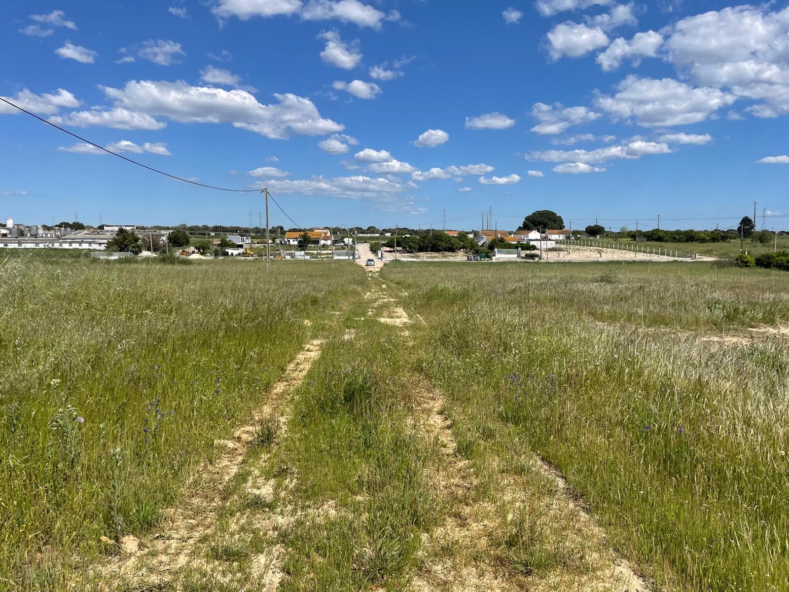 Quinta com 5,9 hectares · Palmela — imagem 11