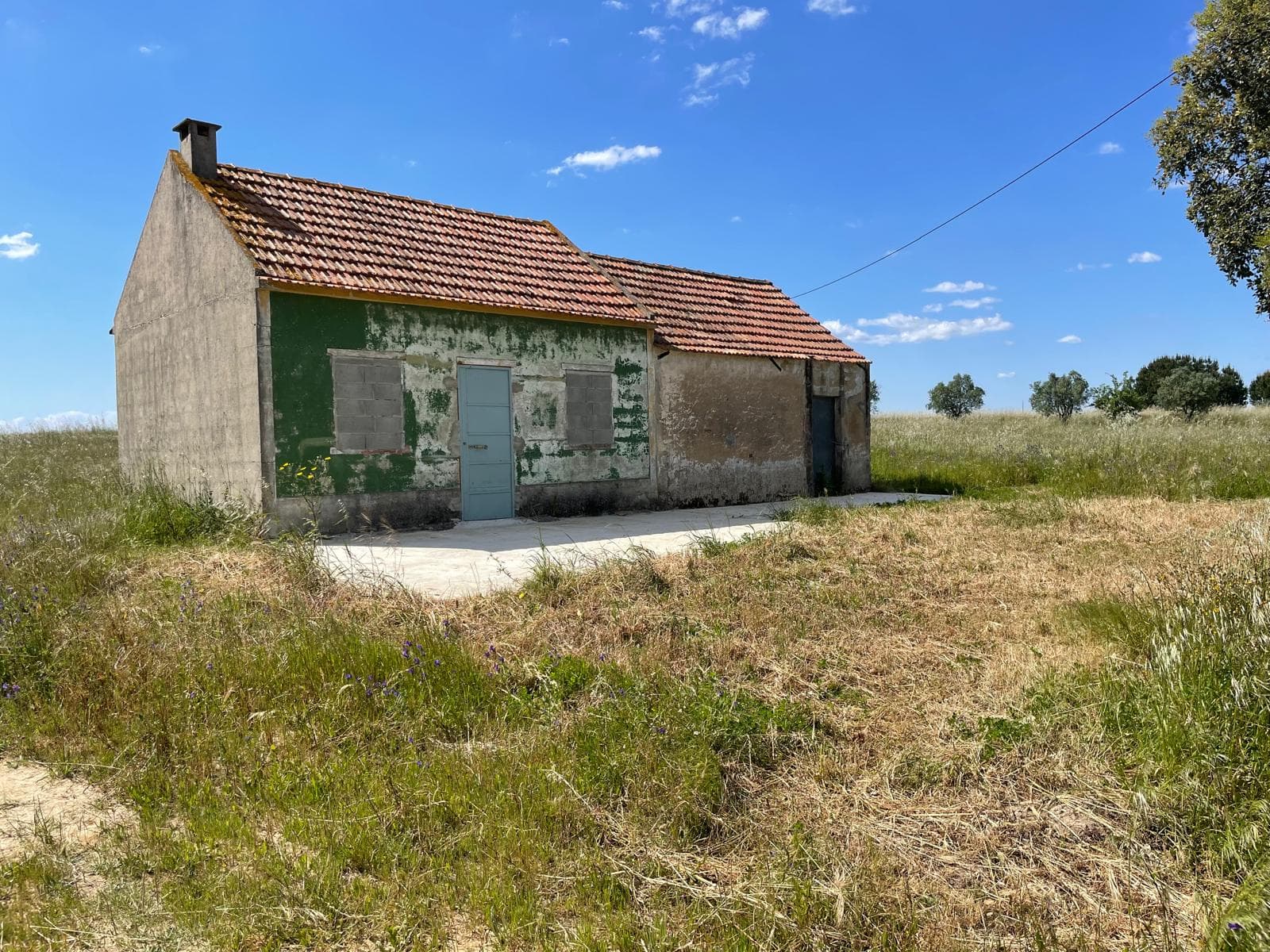 Quinta com 5,9 hectares · Palmela — imagem 1