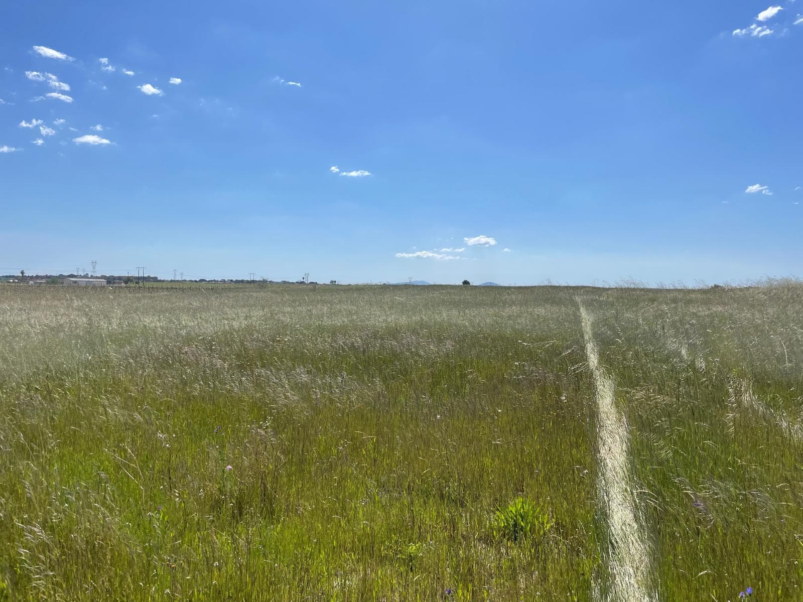 Quinta com 5,9 hectares · Palmela — imagem 9
