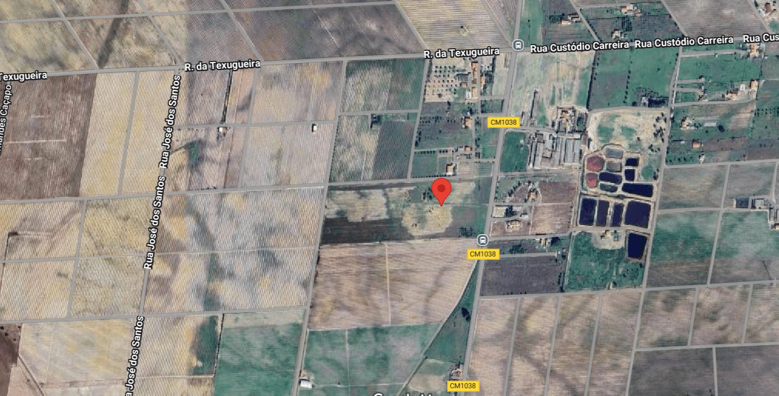 Quinta com 5,9 hectares · Palmela — imagem 13