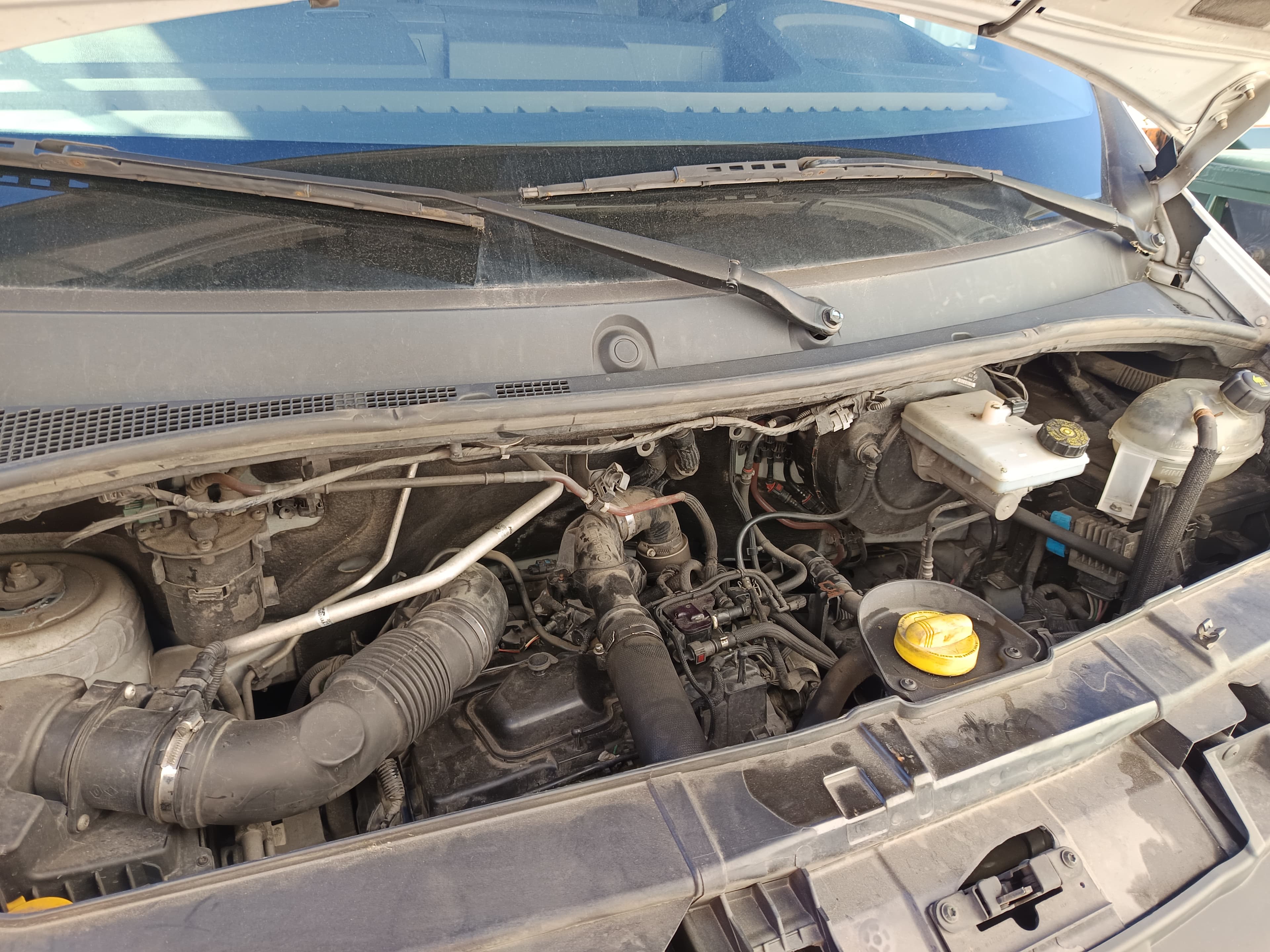 Opel Movano · Ano 2019 — imagen 32