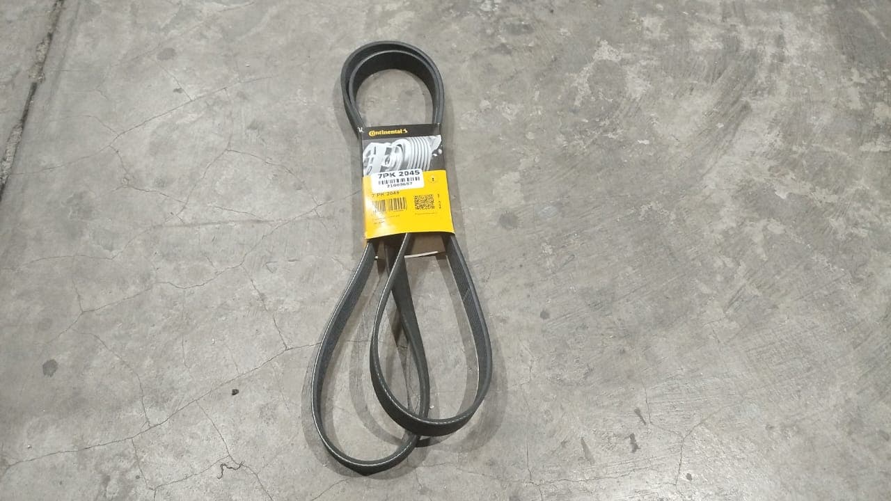 35 Correias