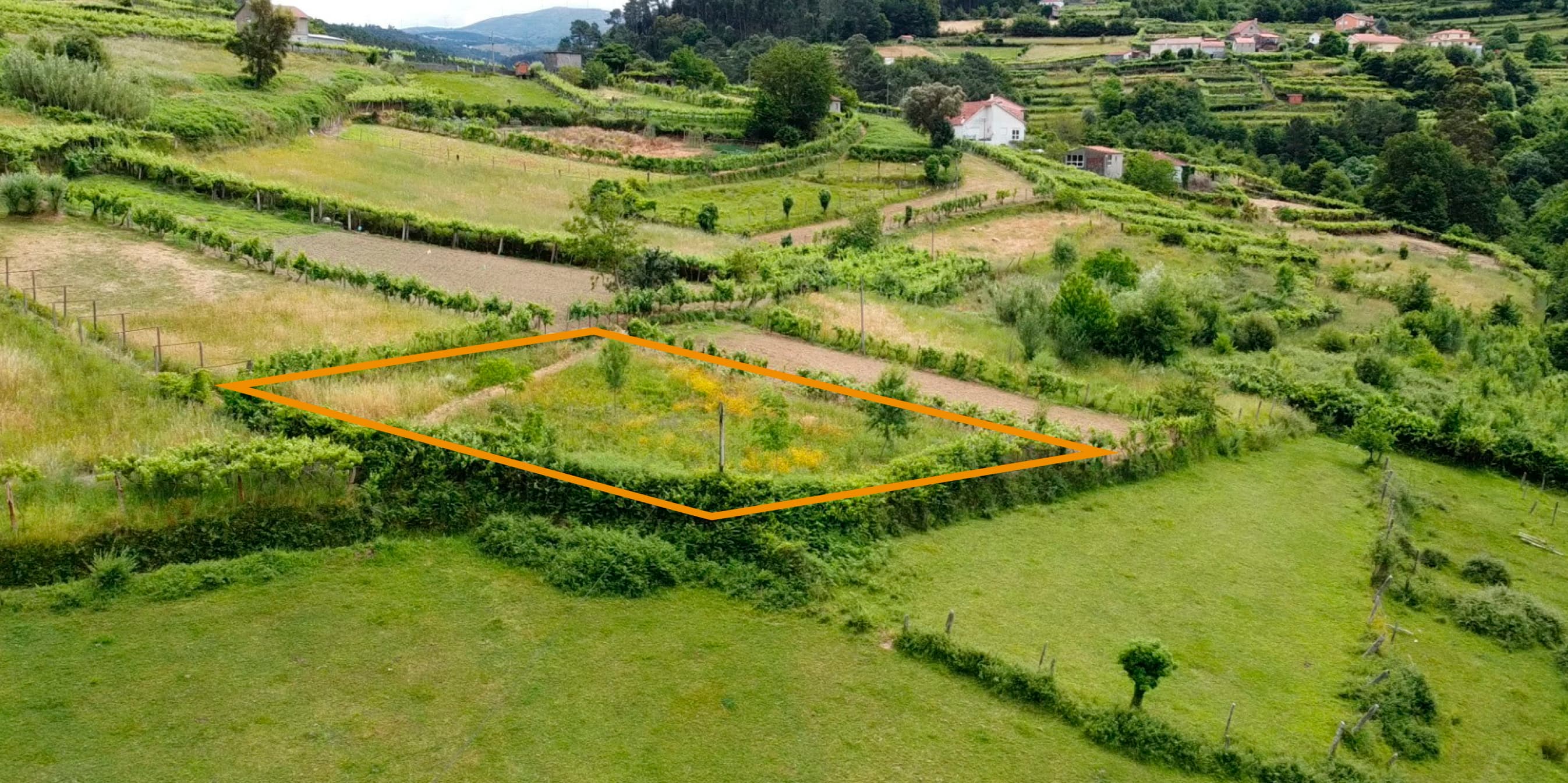 Terreno Rústico com 780 m² · Riba de Mouro, Monção — imagem 1