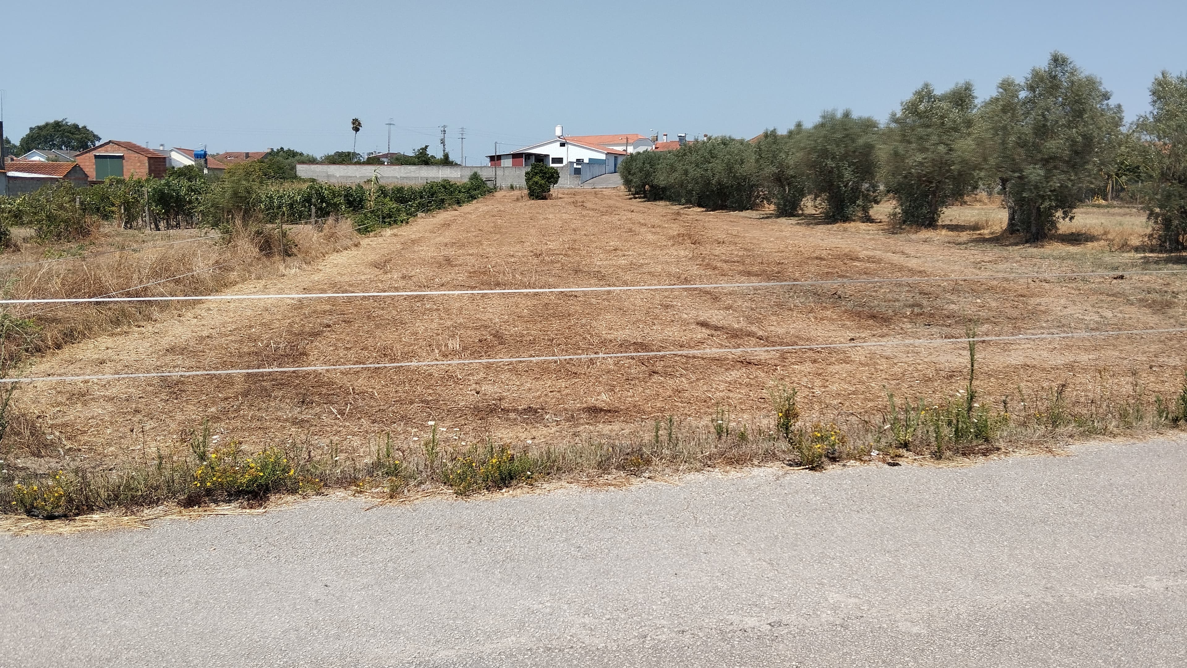 Terreno para Construção · Leiria