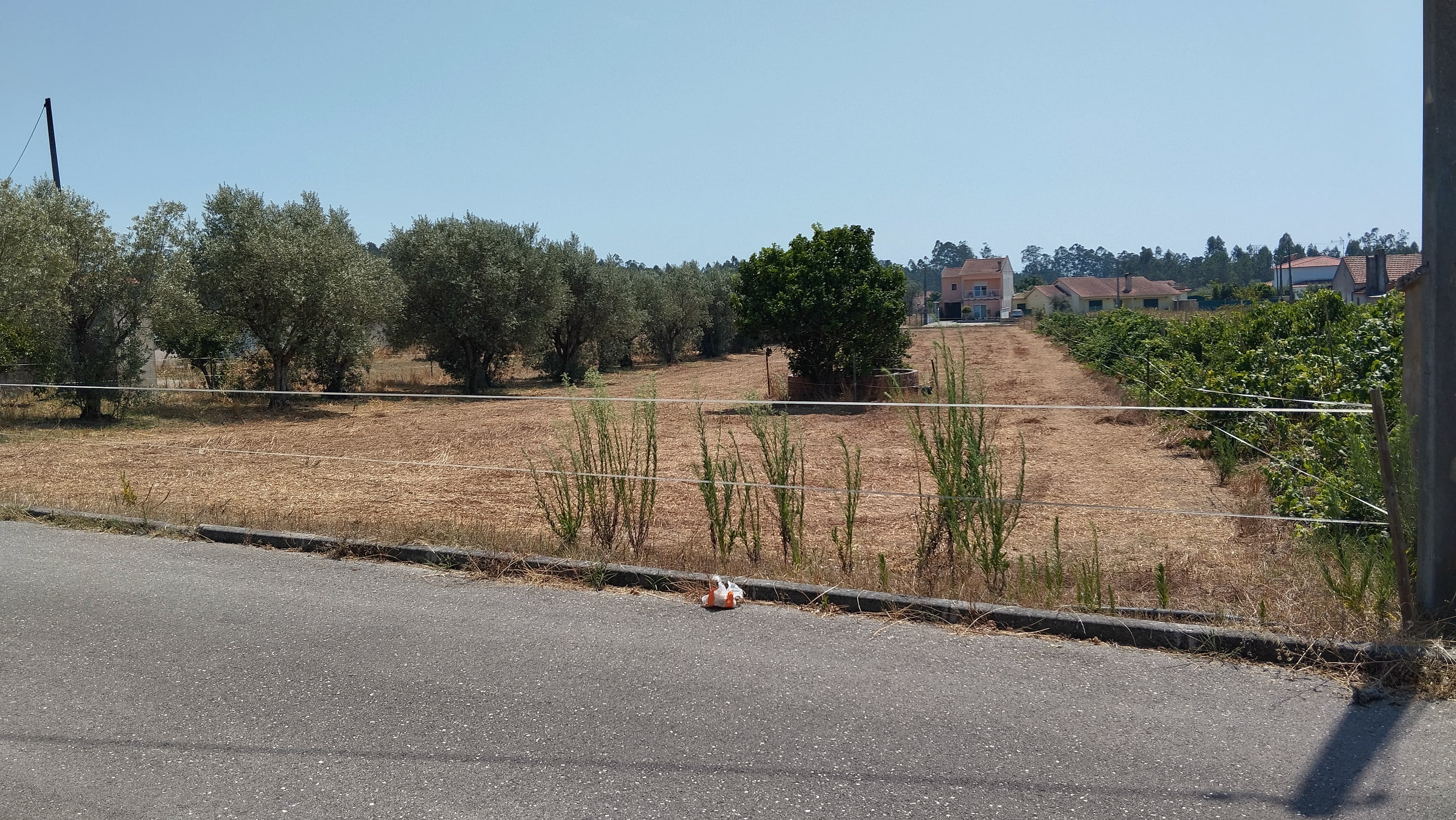 Terreno para Construção · Leiria — imagen 3