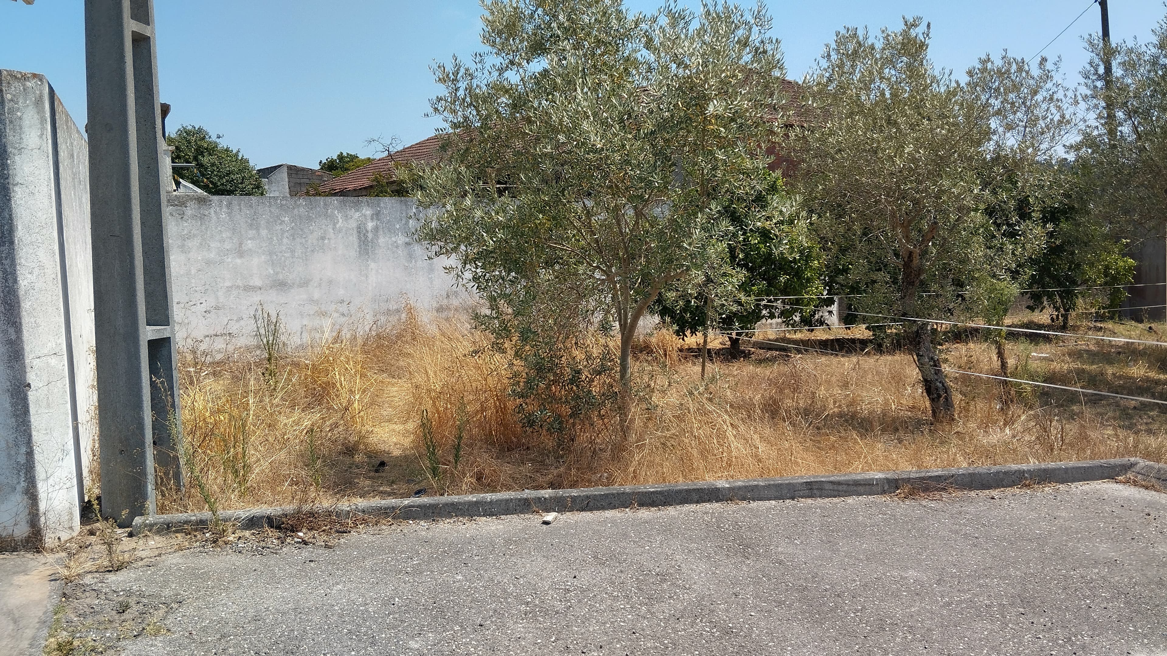Terreno · Leiria — image 4