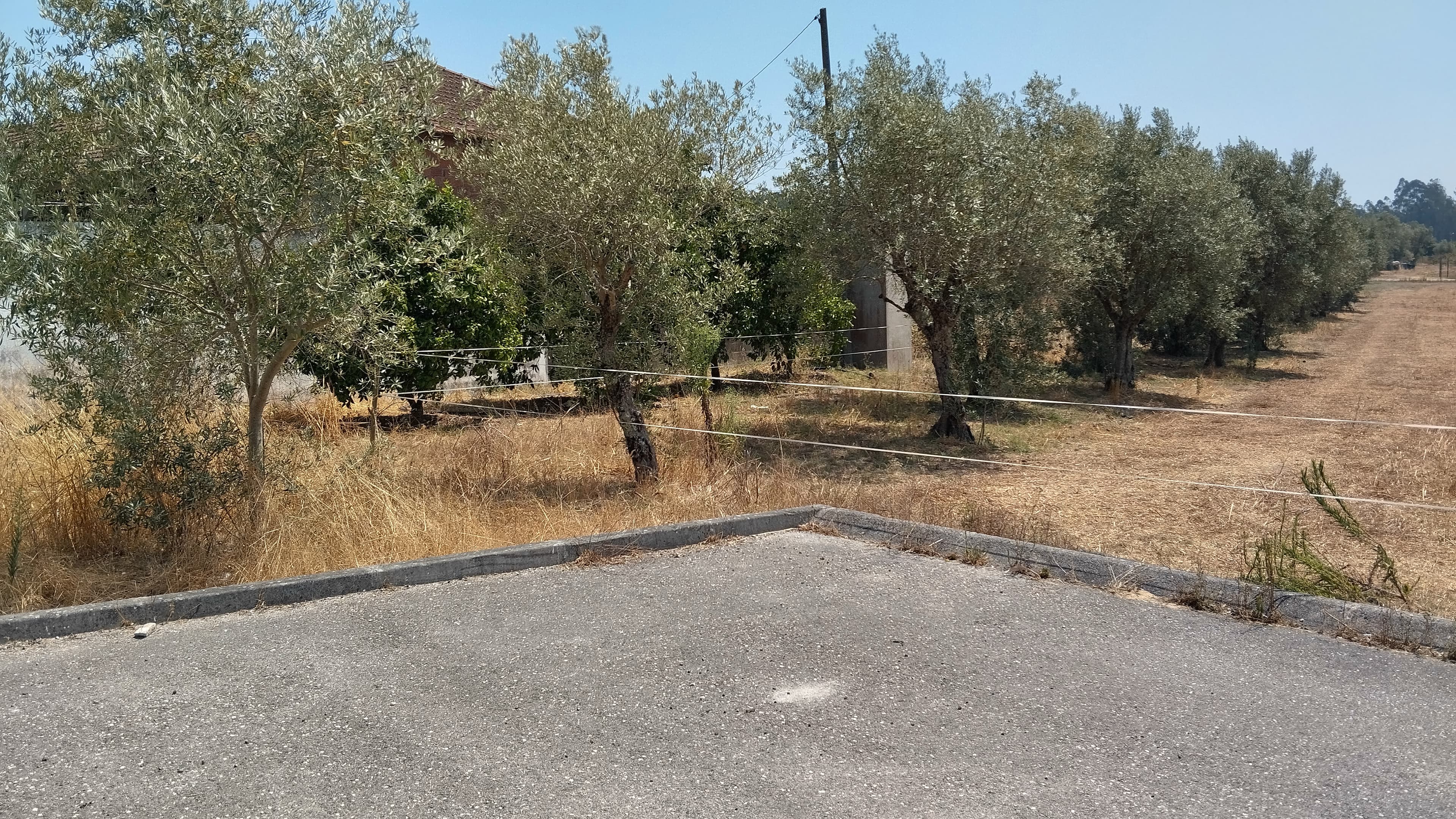 Terreno · Leiria — image 1