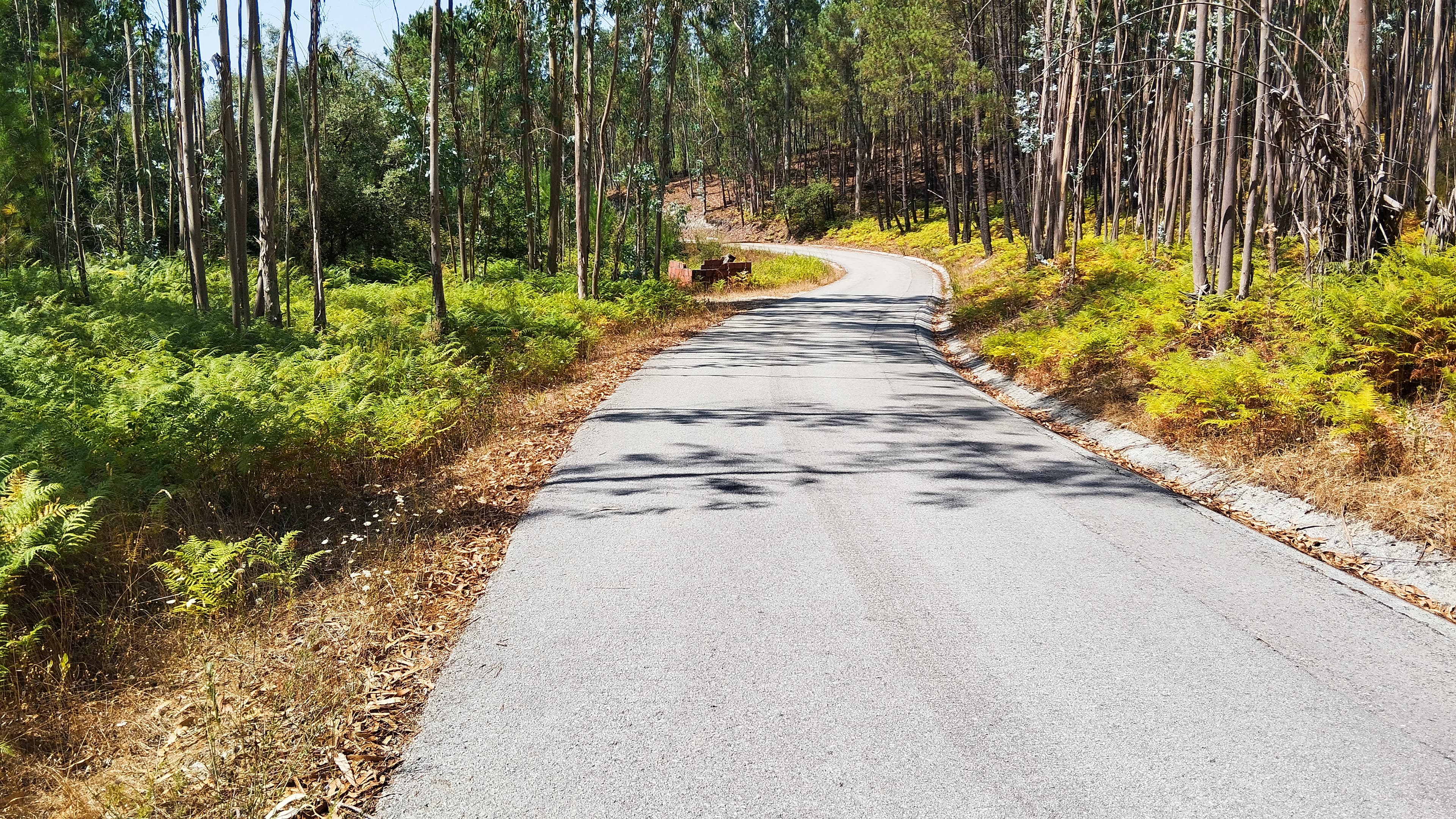 Terreno · Leiria — imagem 2