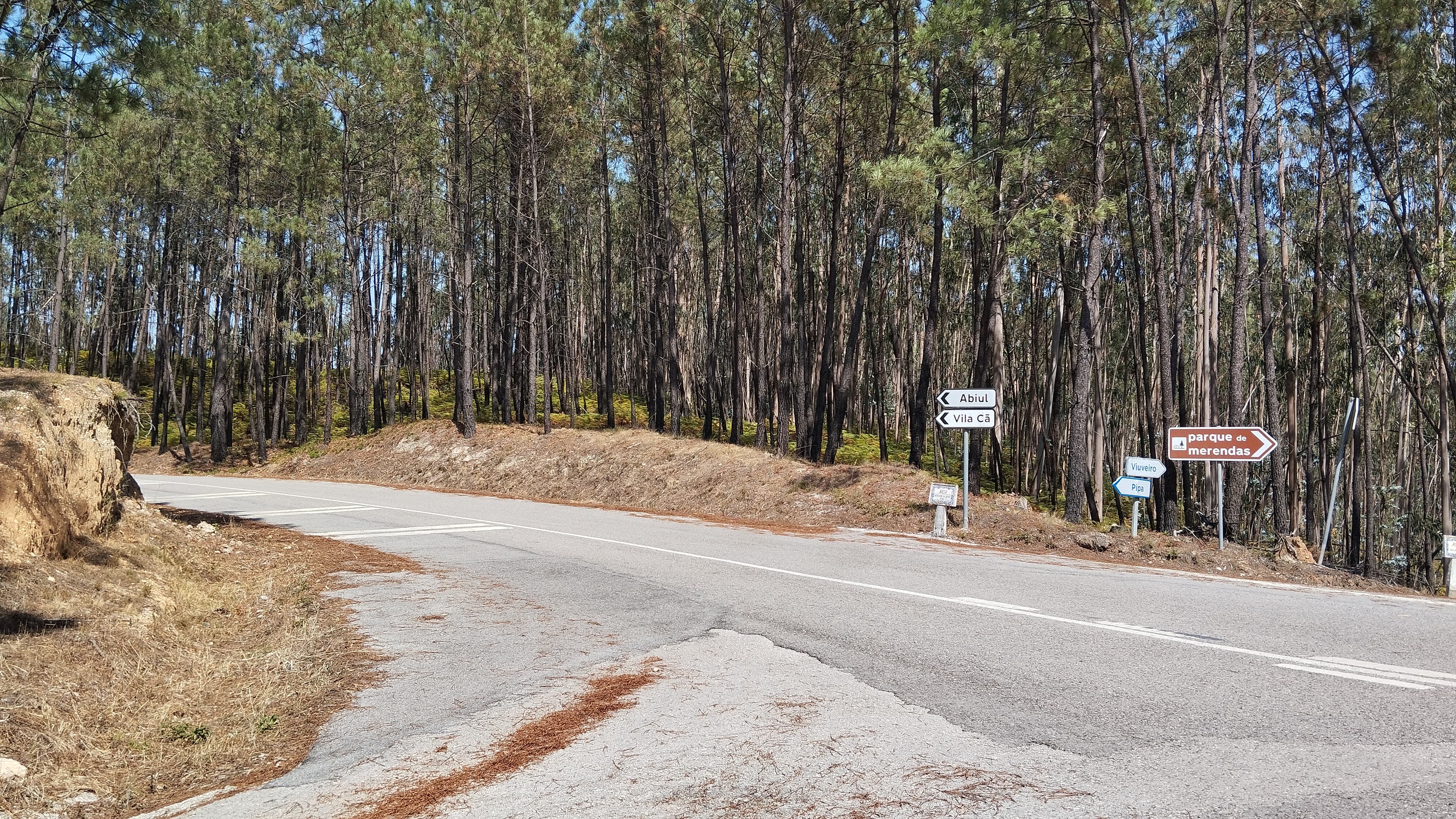 Terreno · Leiria — imagem 5