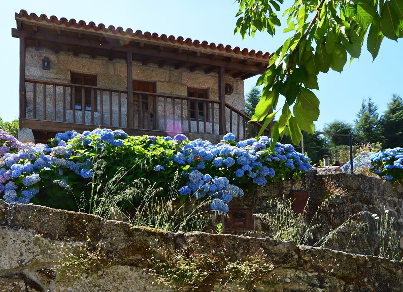 Aldeia Histórica de Póvoa Dão · Silgueiros, Viseu — imagen 9