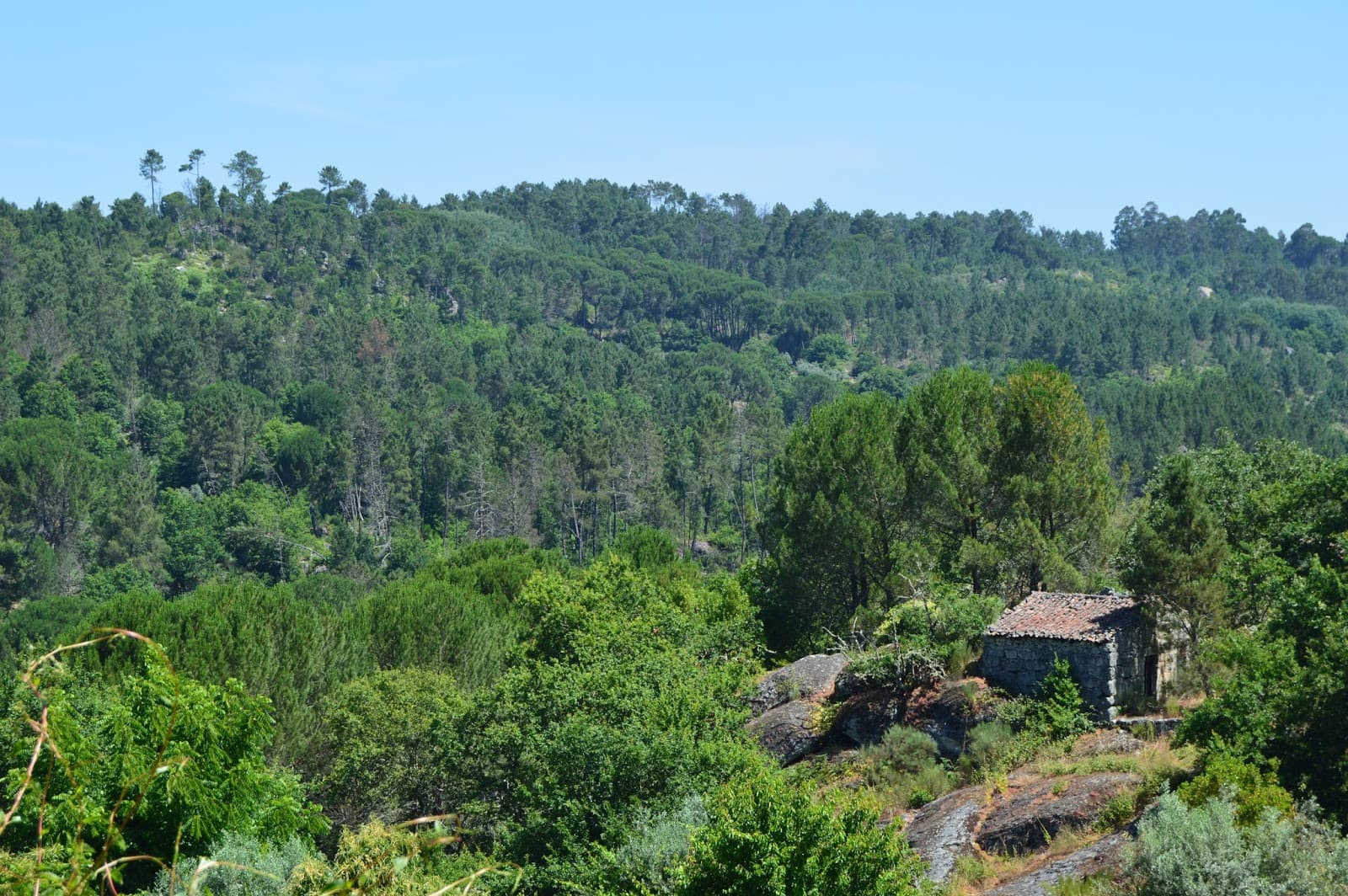 Aldeia Histórica de Póvoa Dão · Silgueiros, Viseu — imagen 21