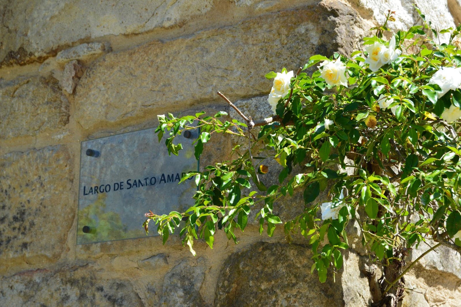 Aldeia Histórica de Póvoa Dão · Silgueiros, Viseu — imagen 11