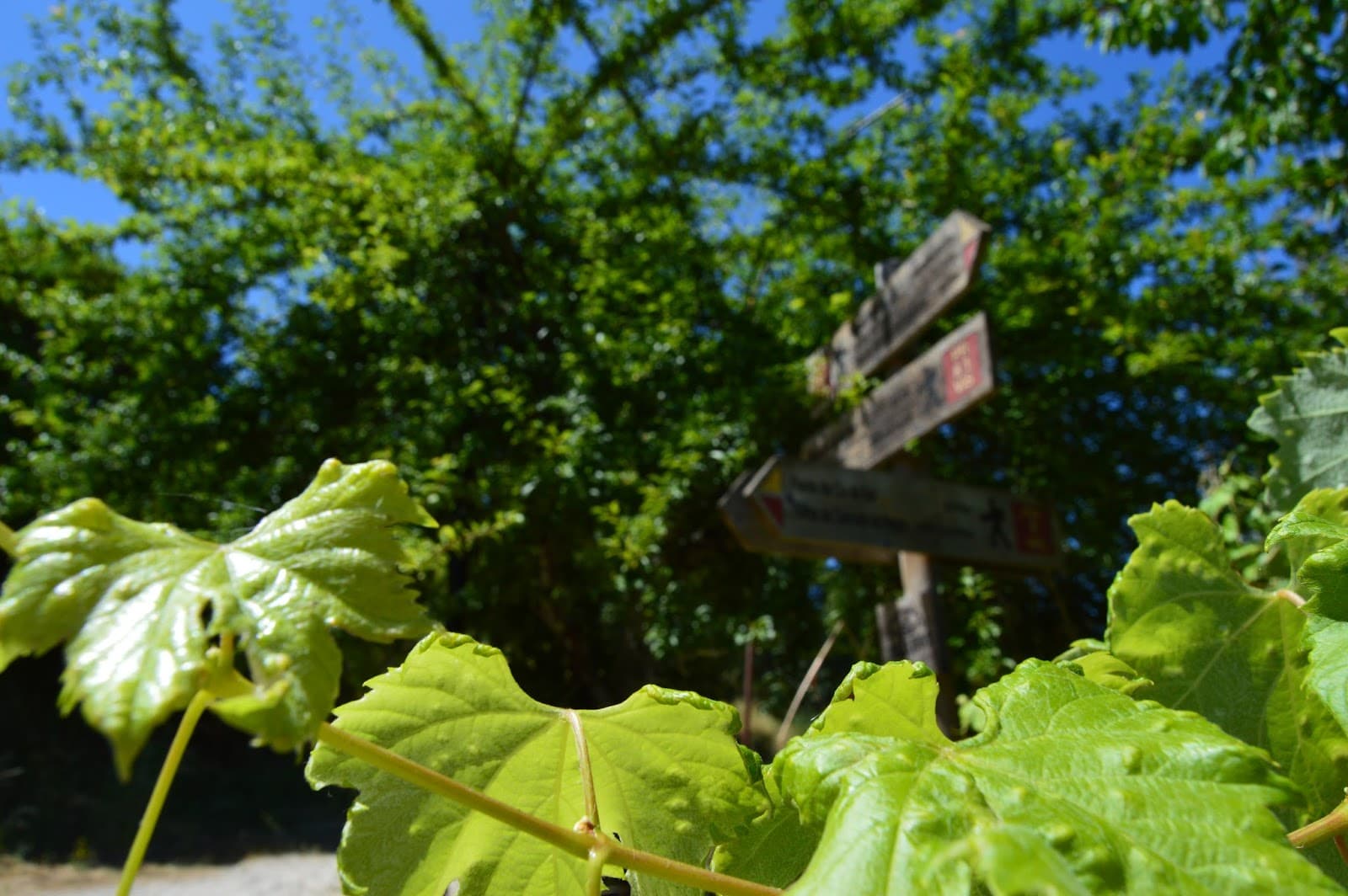 Aldeia Histórica de Póvoa Dão · Silgueiros, Viseu — imagen 22