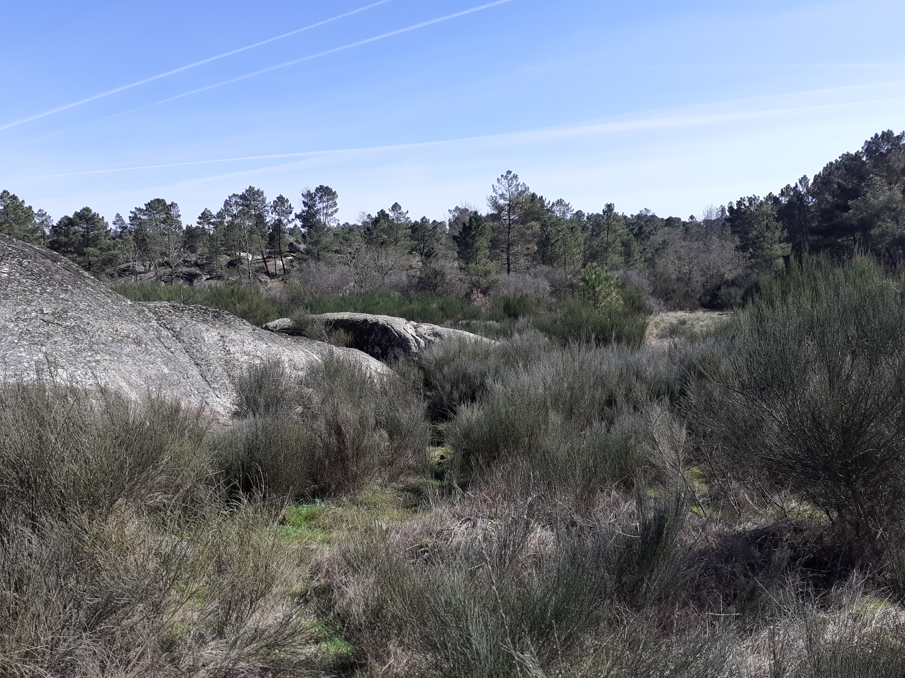 Quinhão Hereditário · Pena Verde, Aguiar da Beira — imagem 10