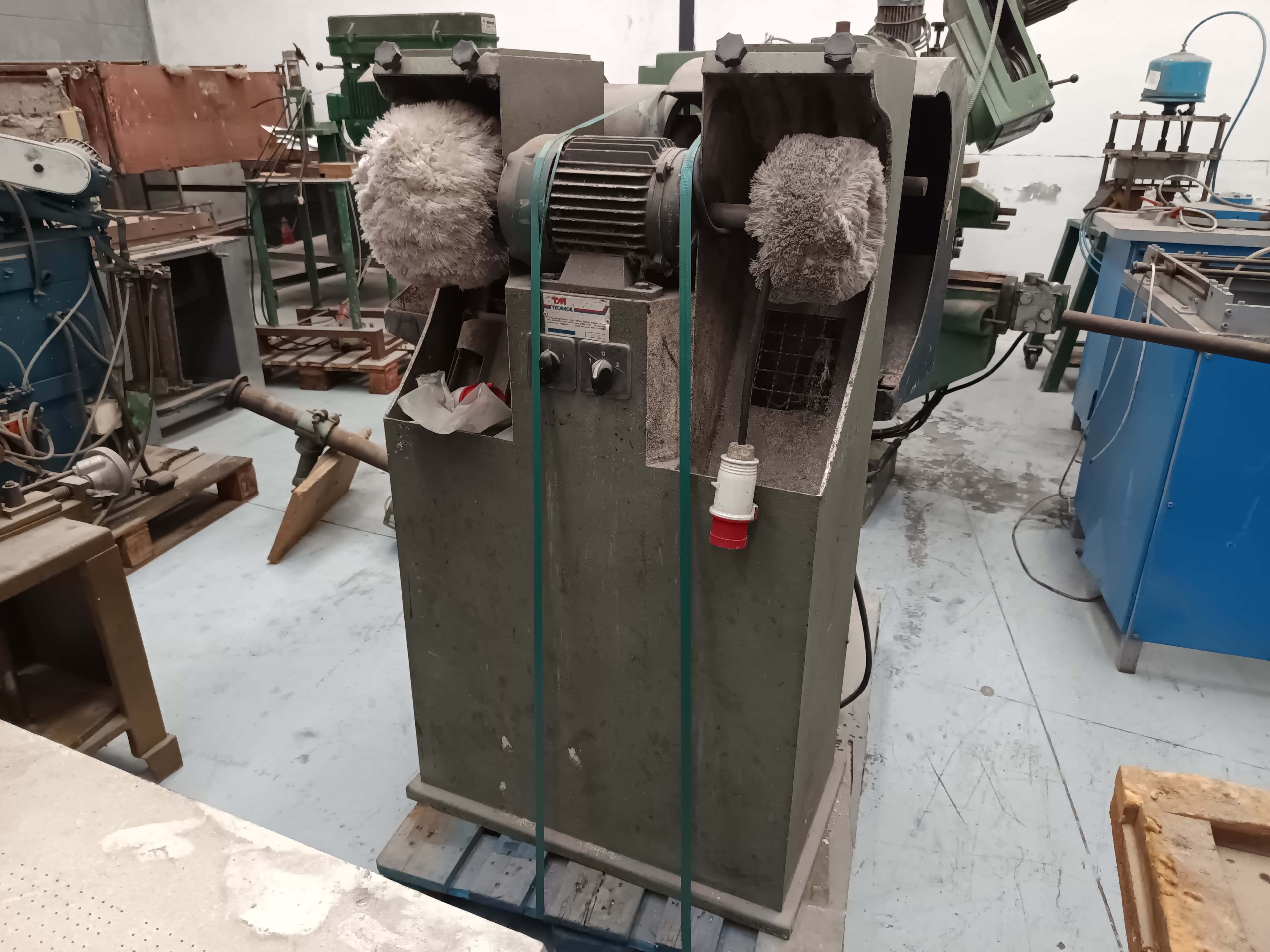 Polidora Tecmacal — imagen 1