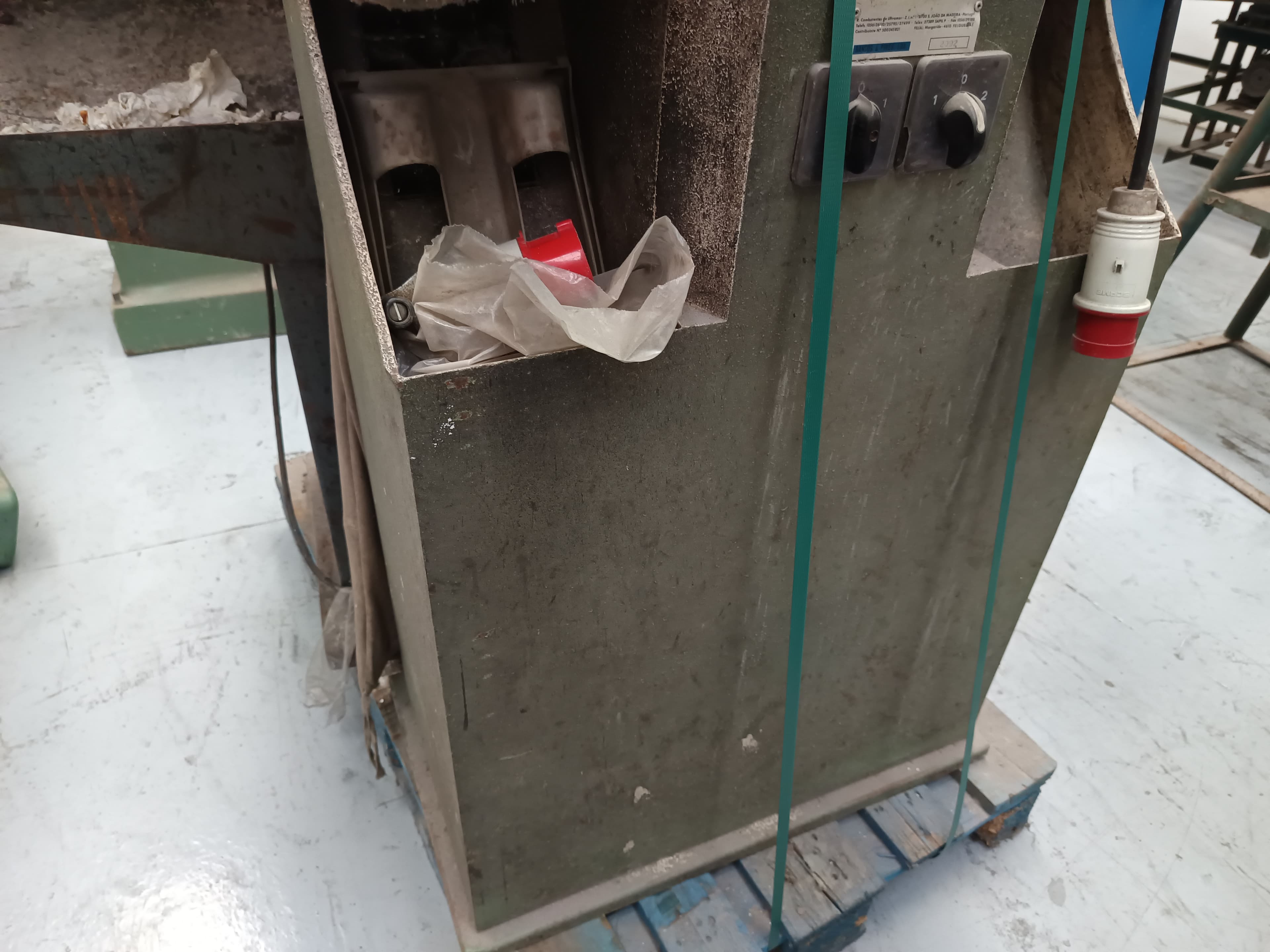 Polidora Tecmacal — imagen 3