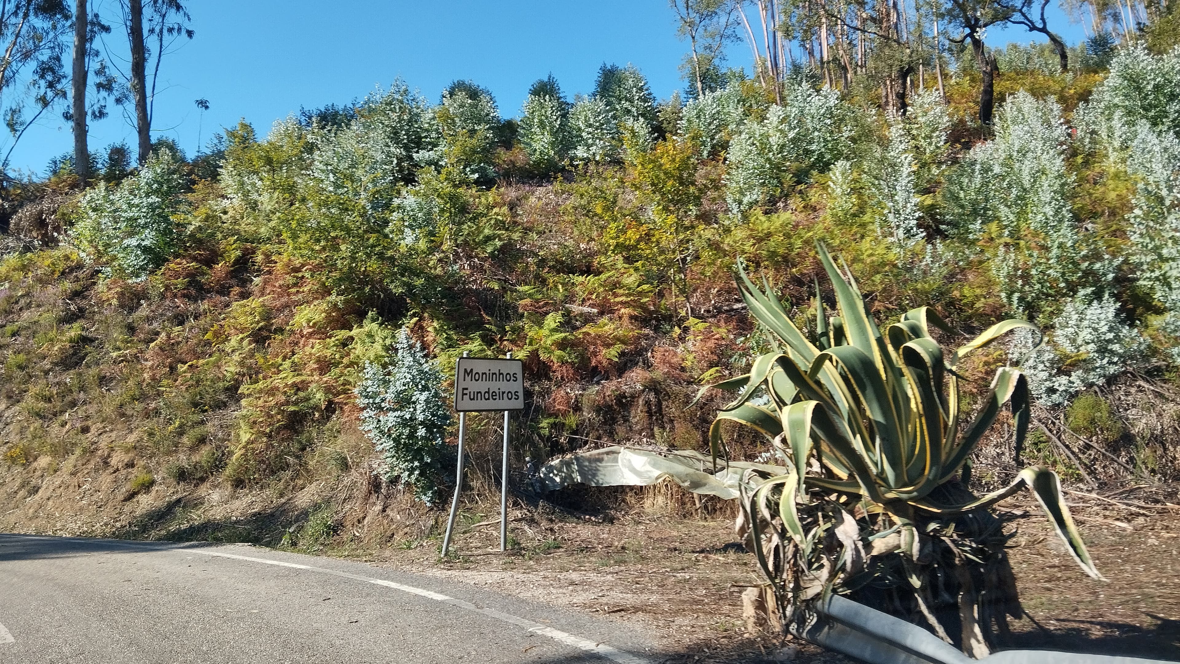 Quinhão Hereditário · Aguda, Figueiró dos Vinhos — imagem 6