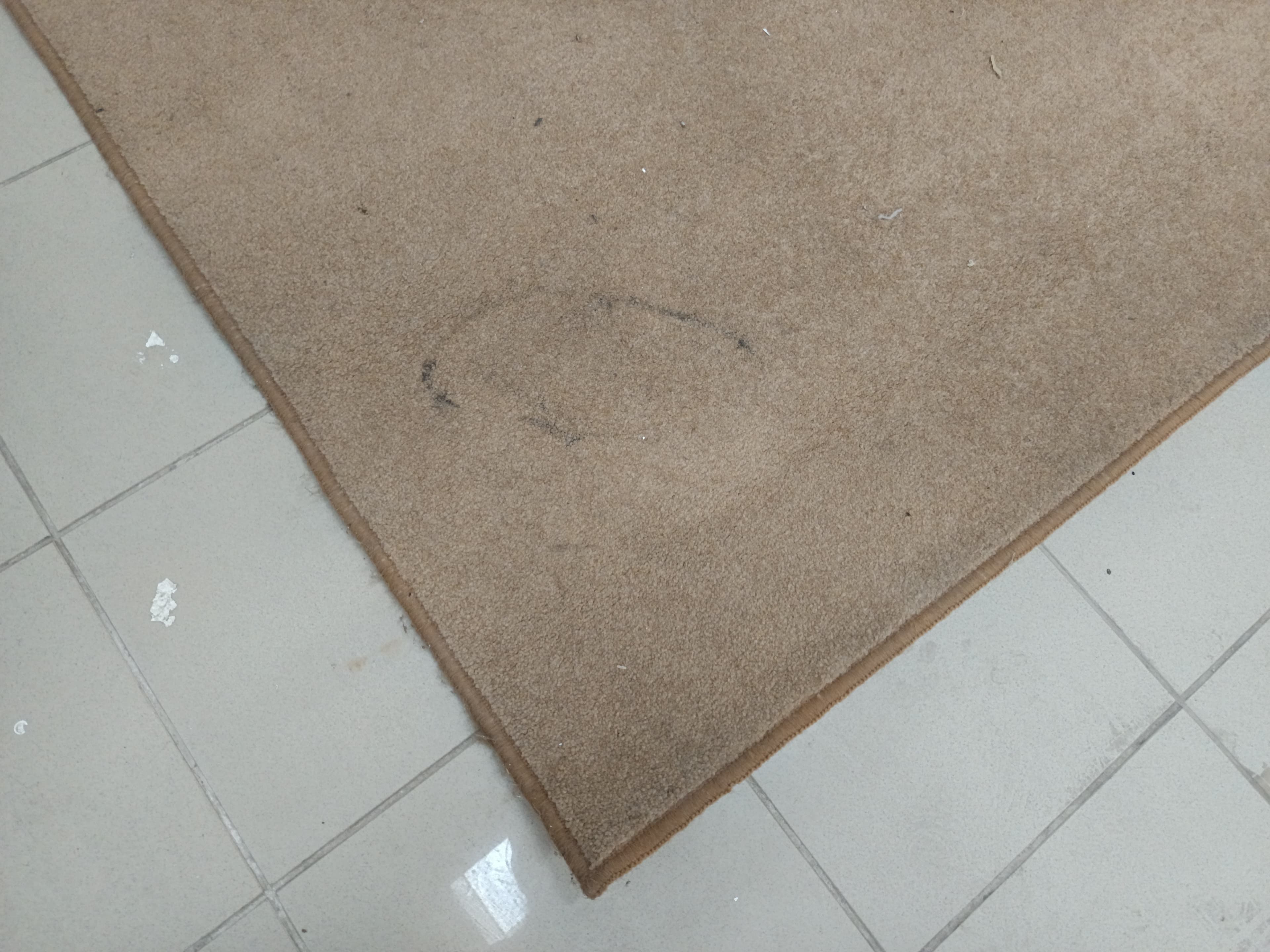 Carpete — imagem 3