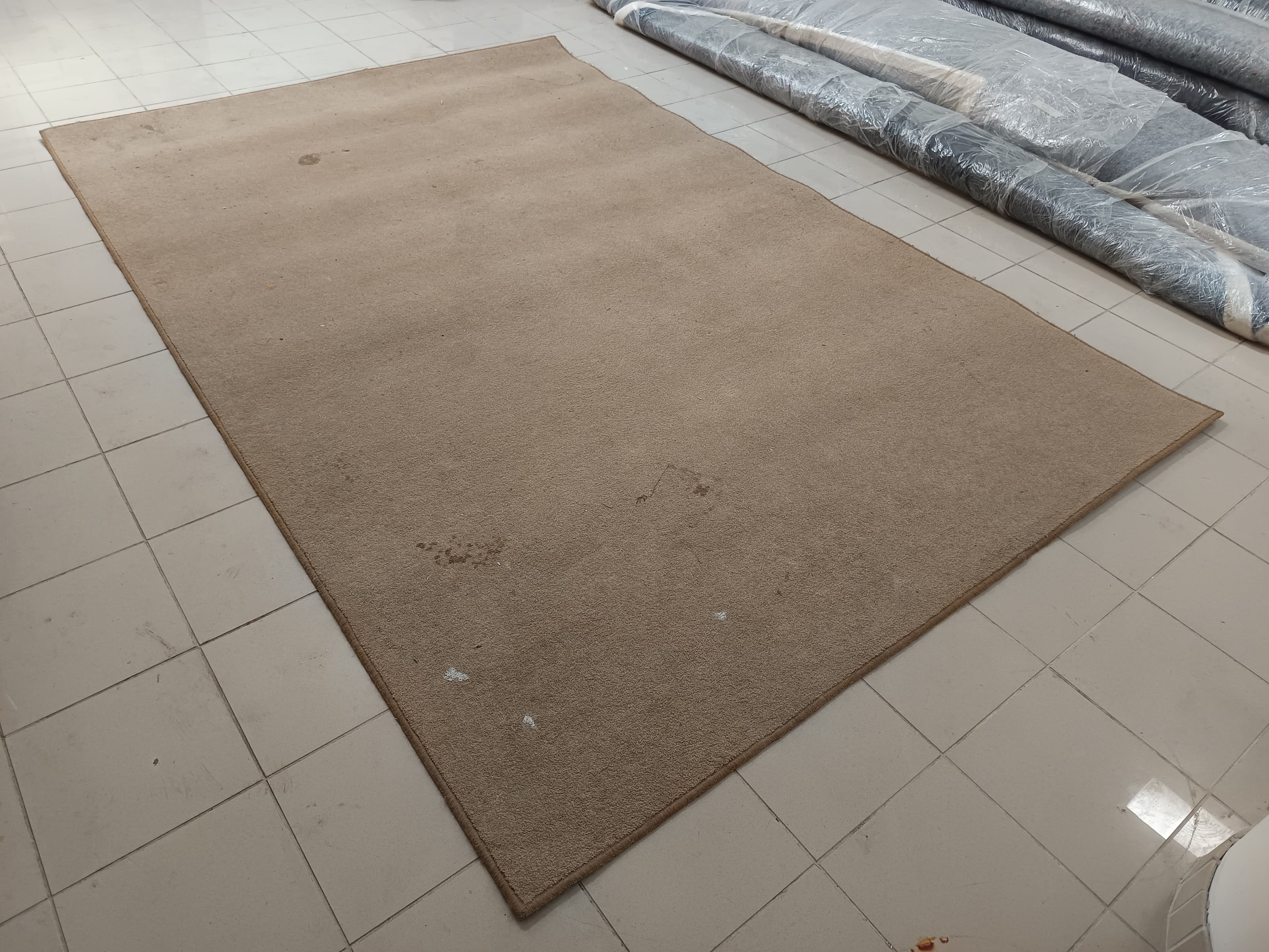 Carpete — imagem 4