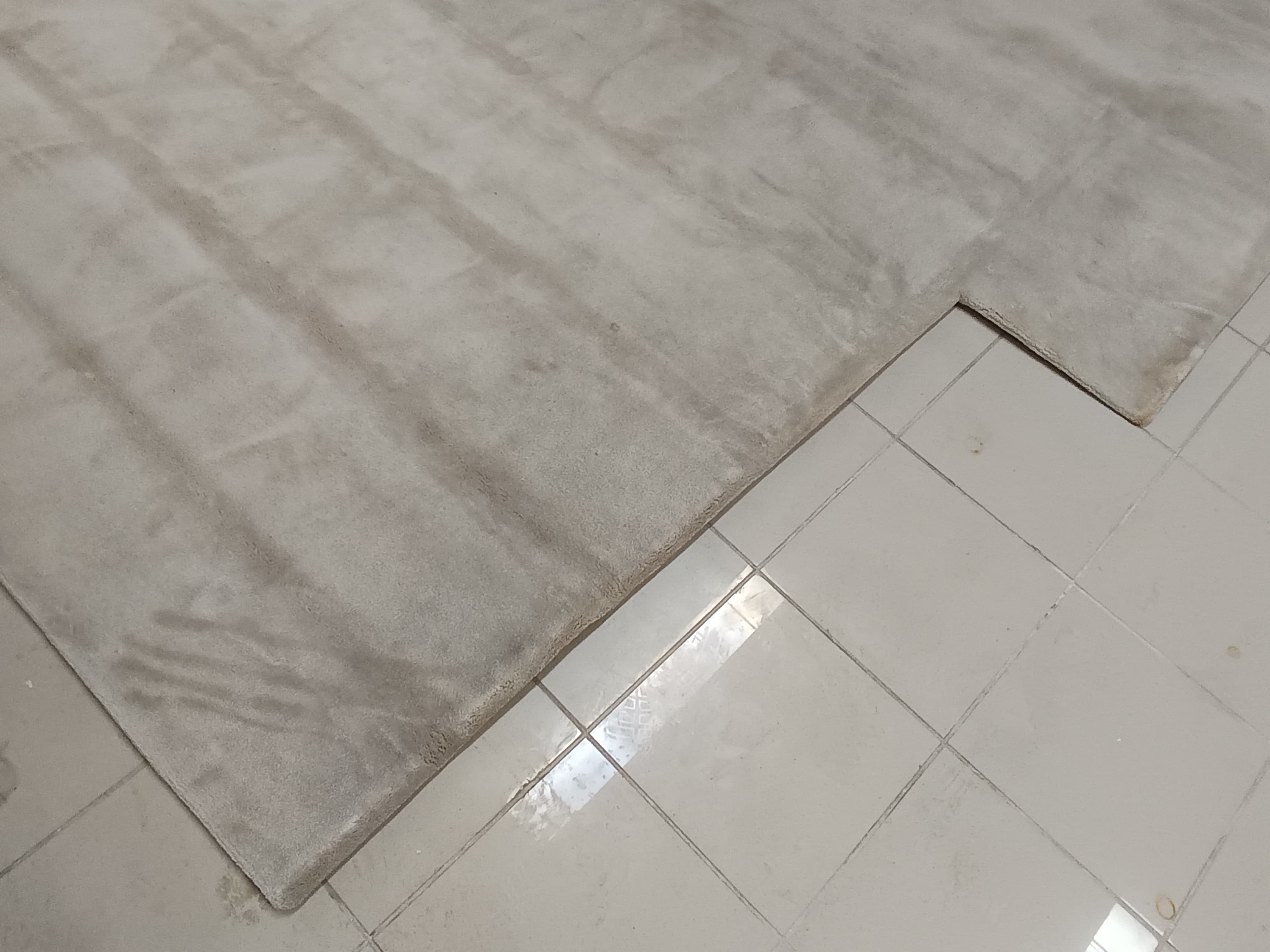 Tapis — image 4