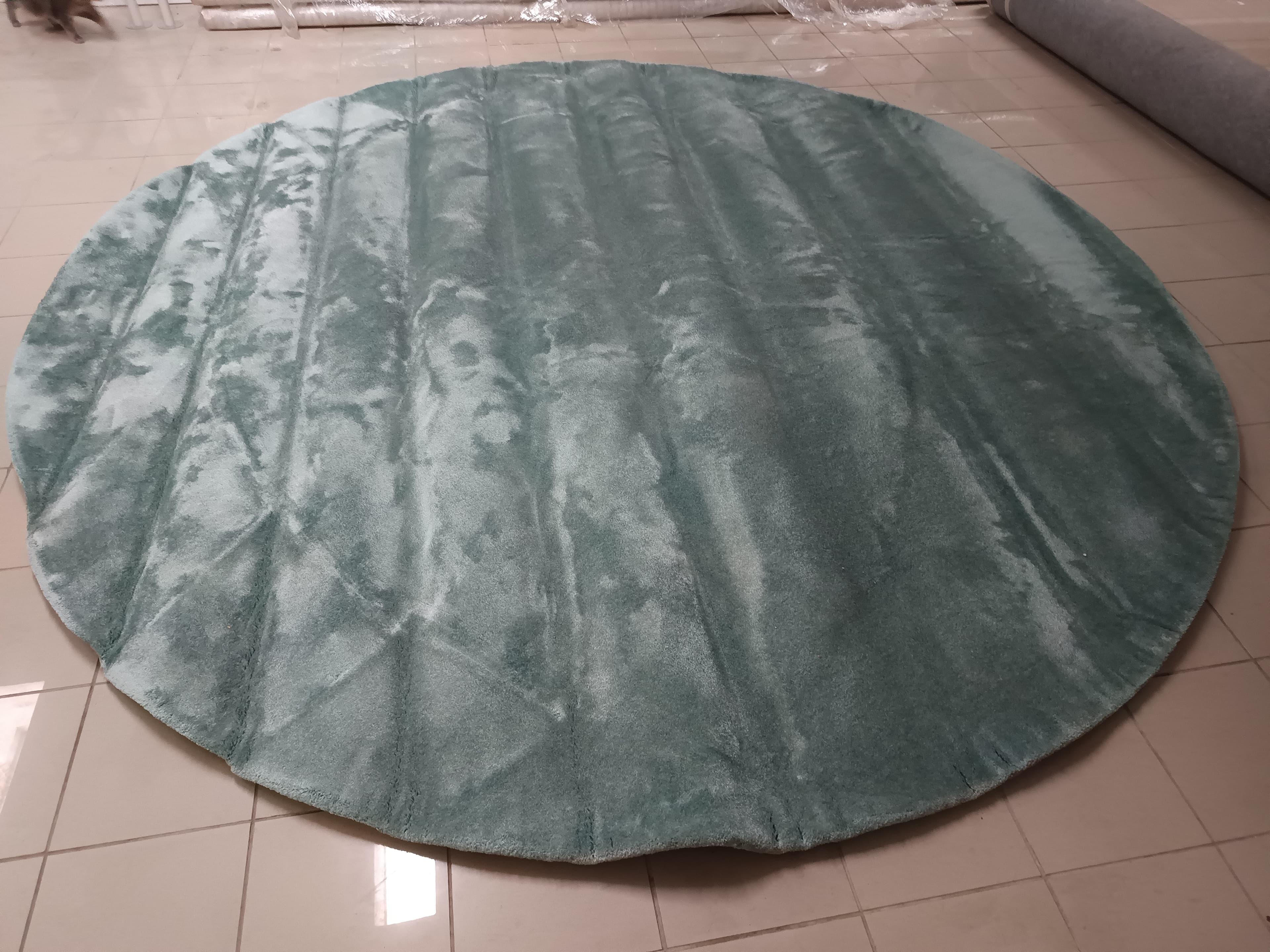 Carpet — image 2