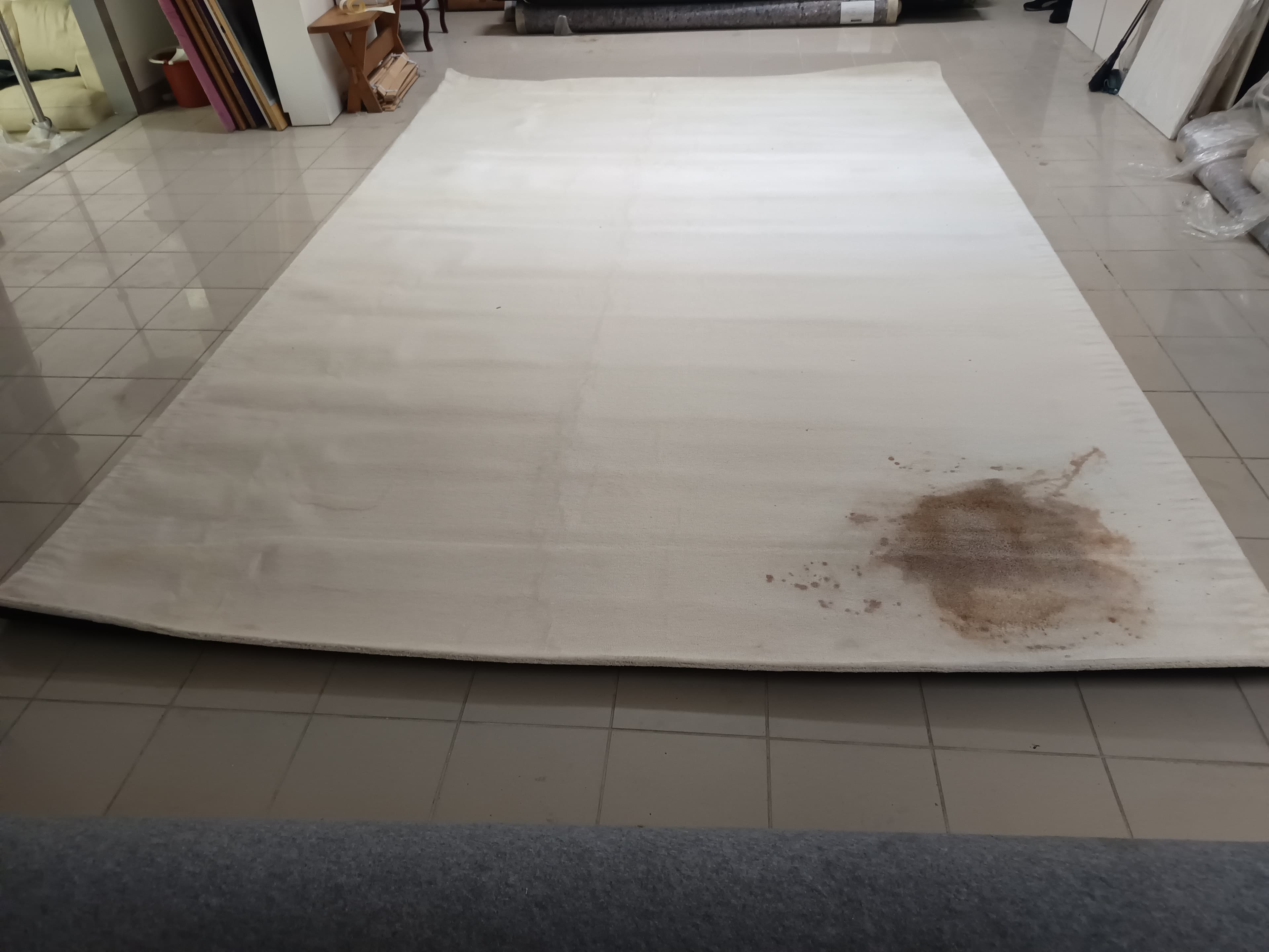 Carpete — imagem 2
