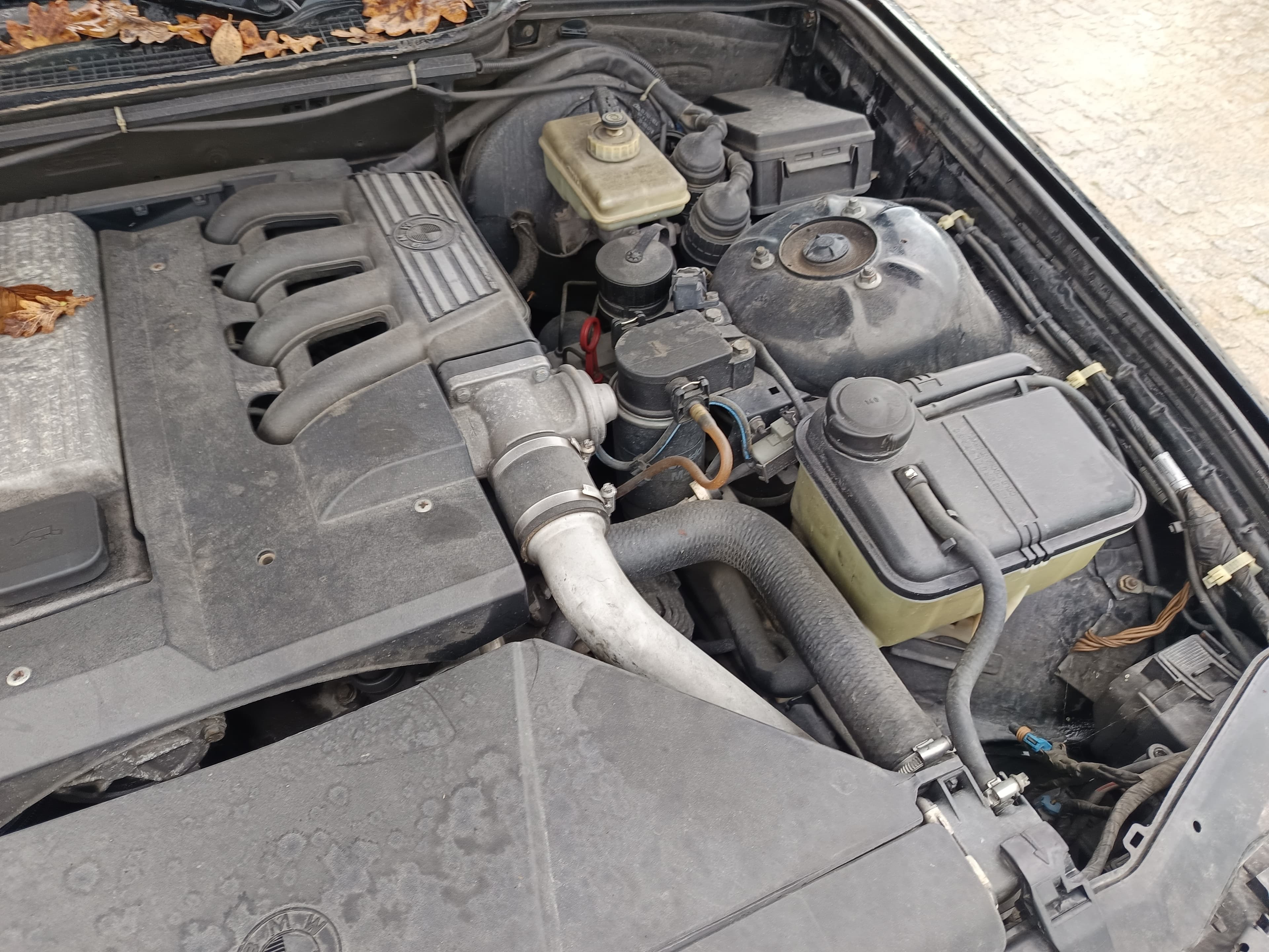 BMW Série 3 · Ano 1998 — image 15