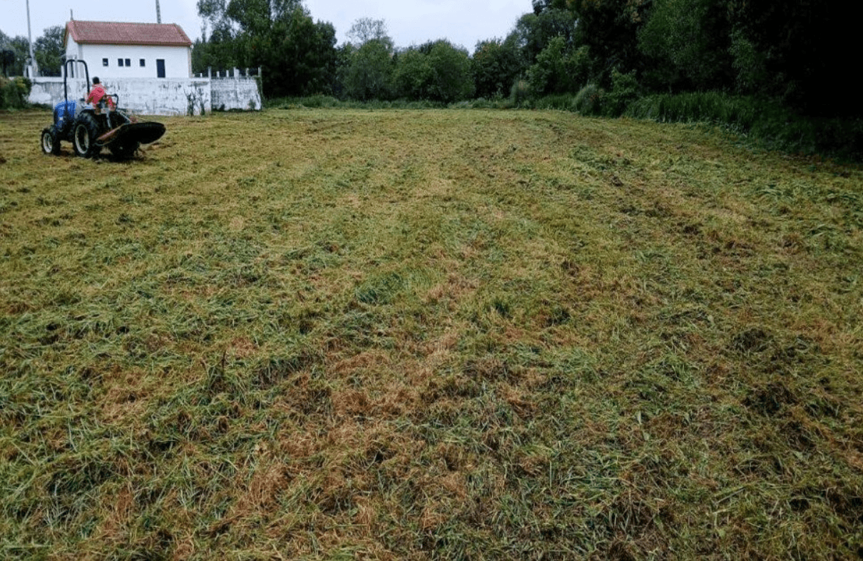 Terreno com 7.650 m² · Âncora, Caminha — imagem 1