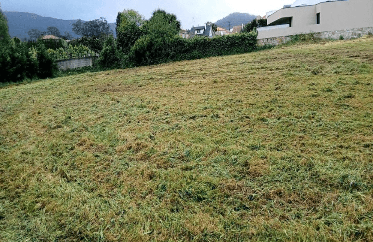 Terreno com 7.650 m² · Âncora, Caminha — imagem 3