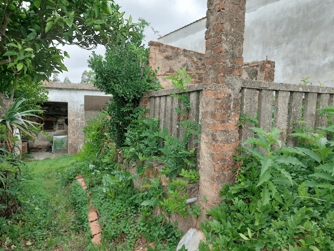 Moradia em Ruínas · Vila Nova da Barquinha, Santarém — image 3