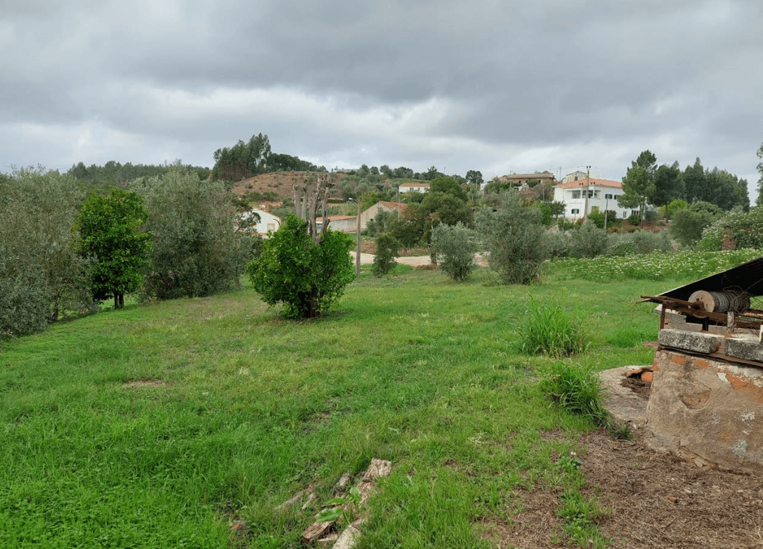 Moradia em Ruínas · Vila Nova da Barquinha, Santarém — image 6