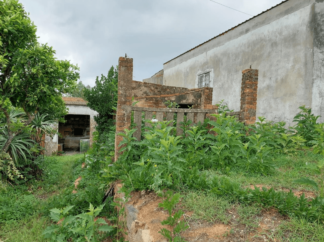 Moradia em Ruínas · Vila Nova da Barquinha, Santarém — image 2