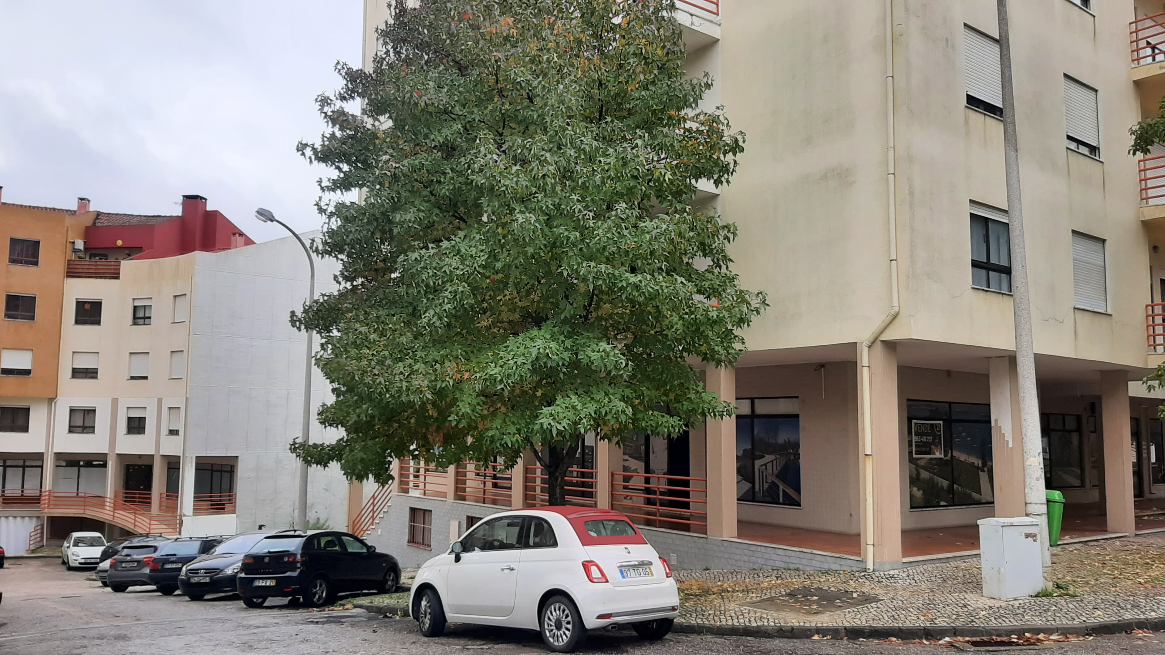 Lojas · Torres Novas, Santarém — imagen 2