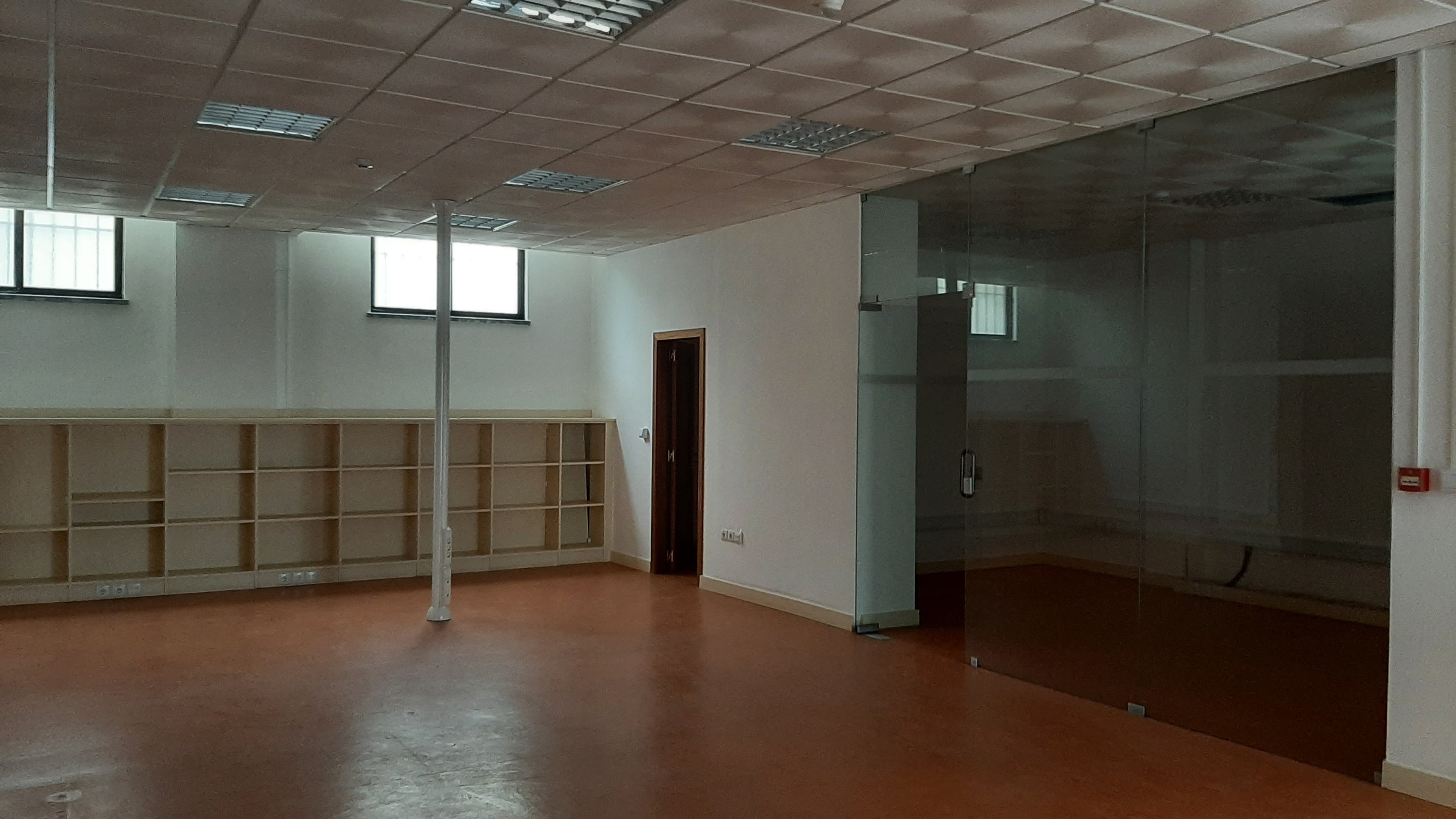 Lojas · Torres Novas, Santarém — imagen 26