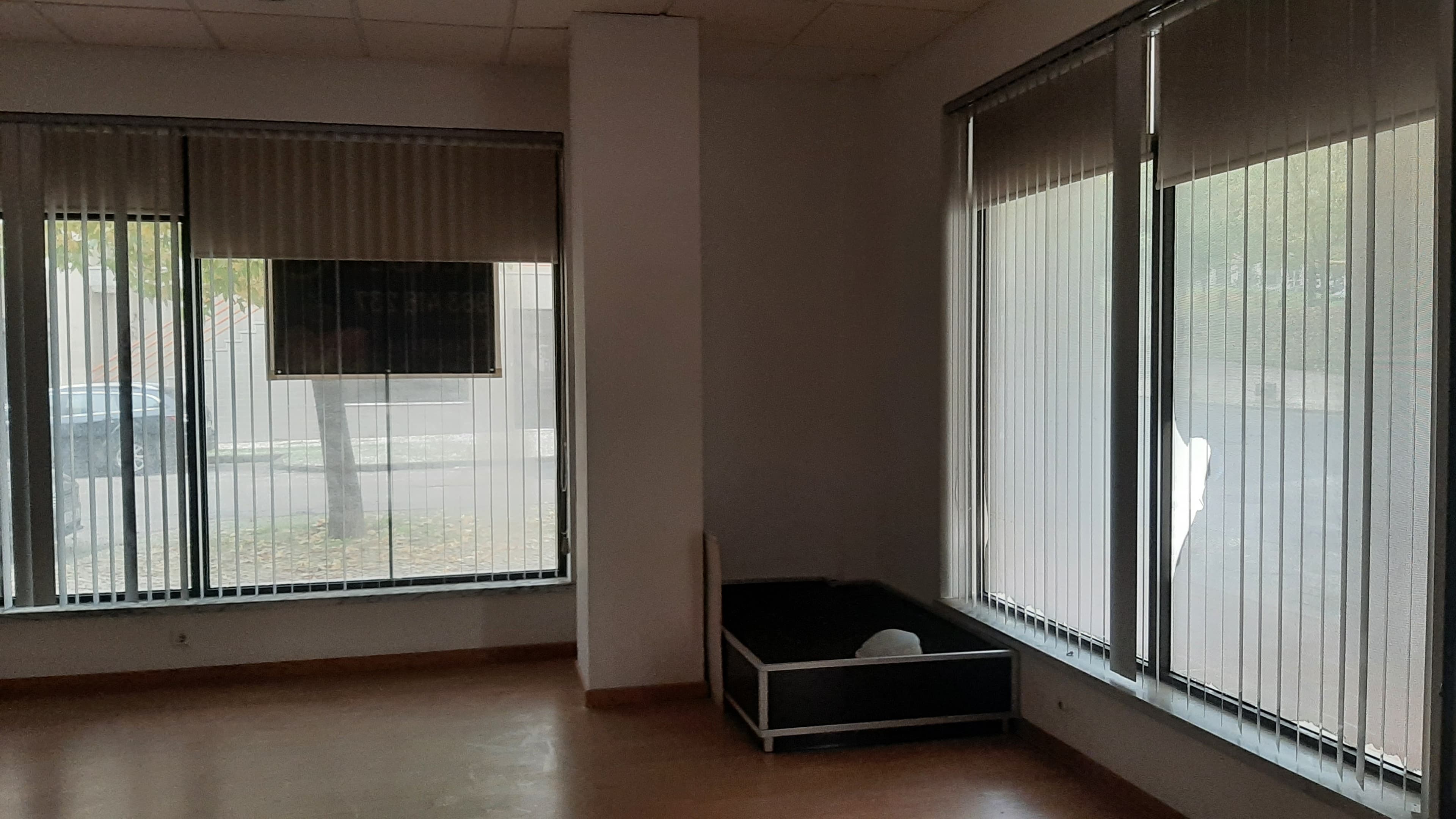 Lojas · Torres Novas, Santarém — imagen 11