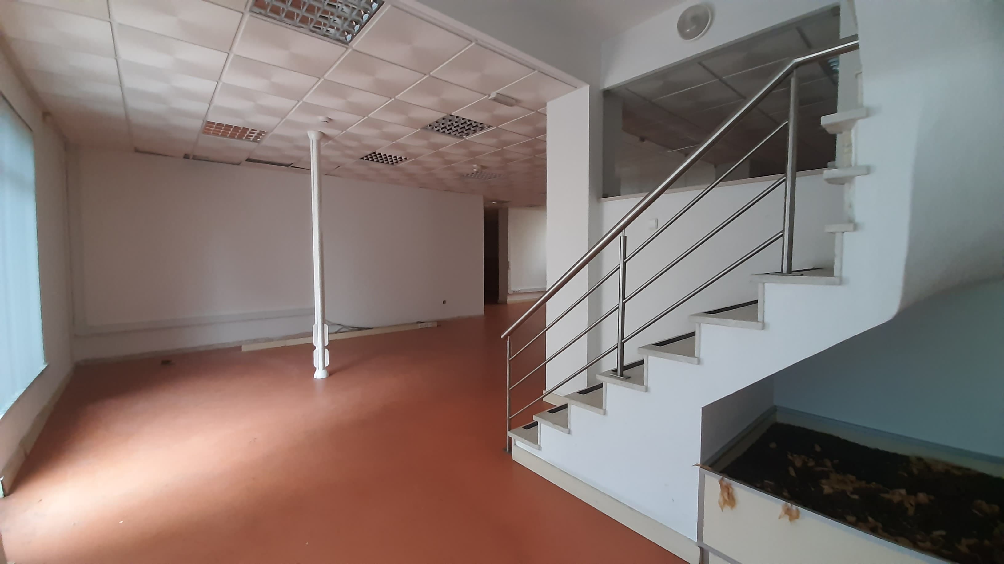 Lojas · Torres Novas, Santarém — imagen 21