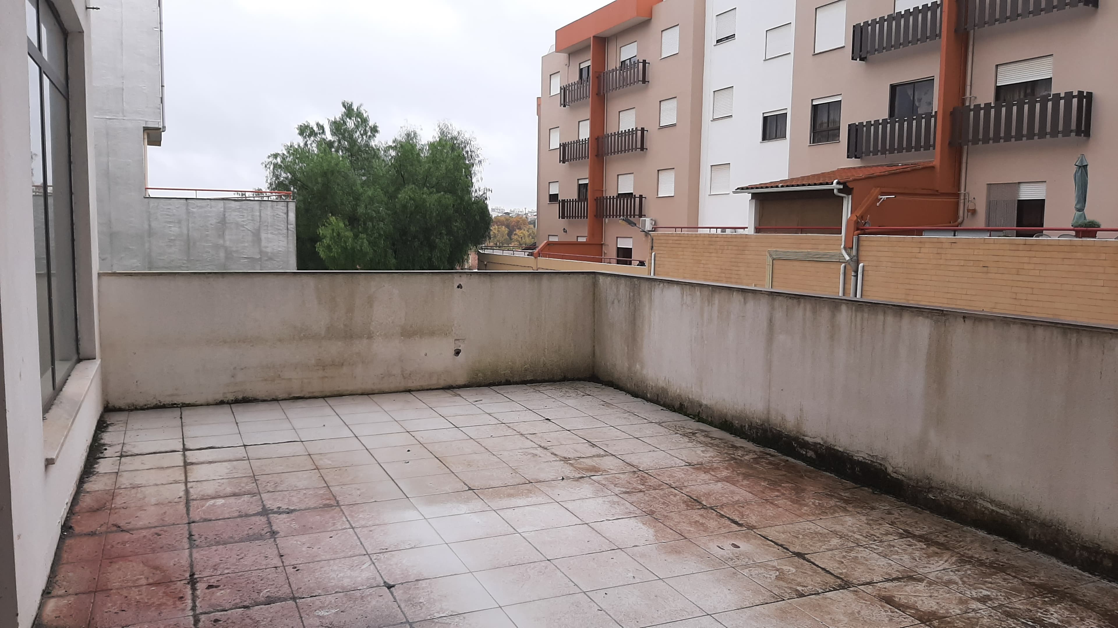 Lojas · Torres Novas, Santarém — imagen 27