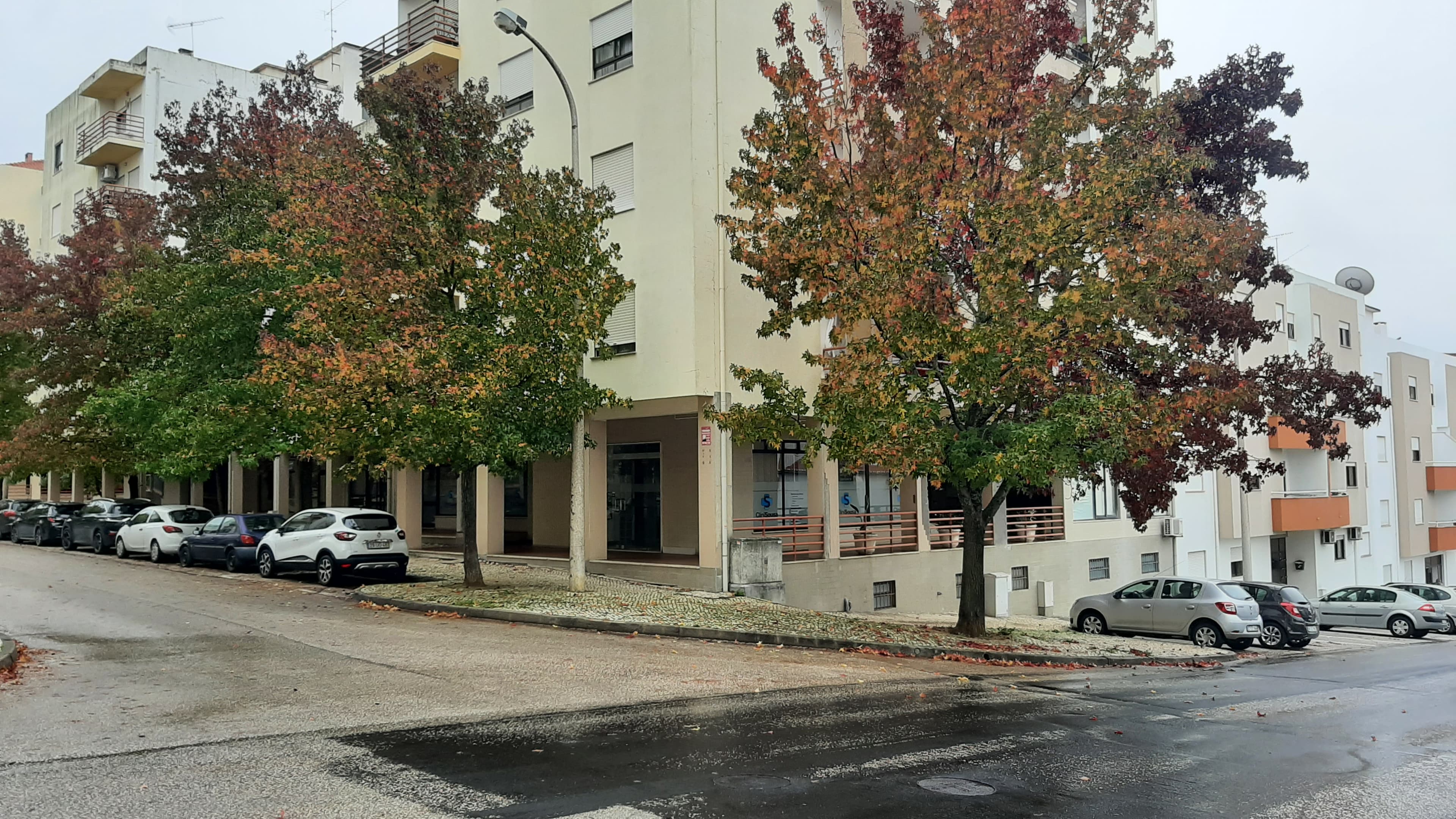 Loja · Torres Novas, Santarém — imagem 5