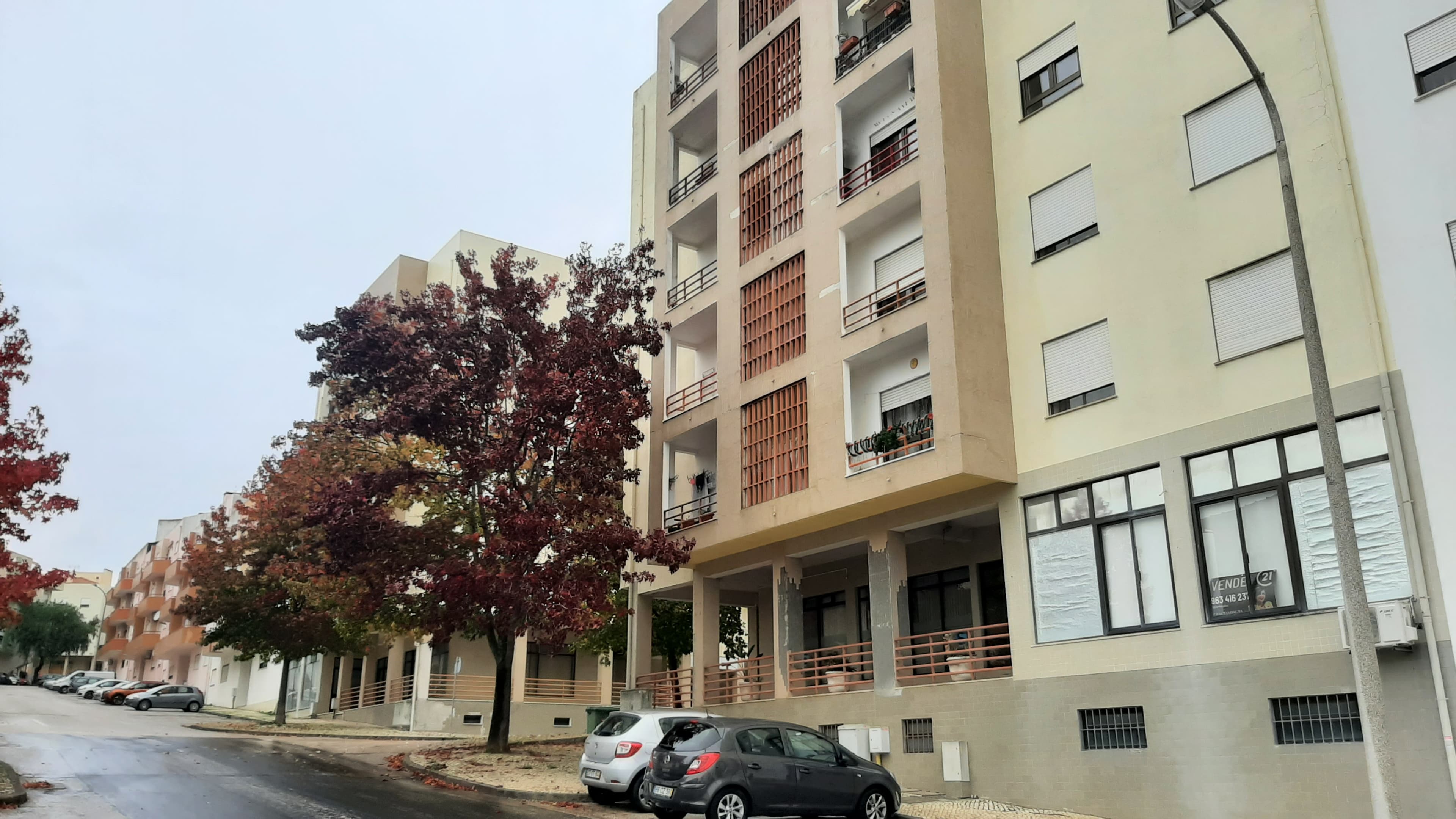Loja · Torres Novas, Santarém — imagem 1