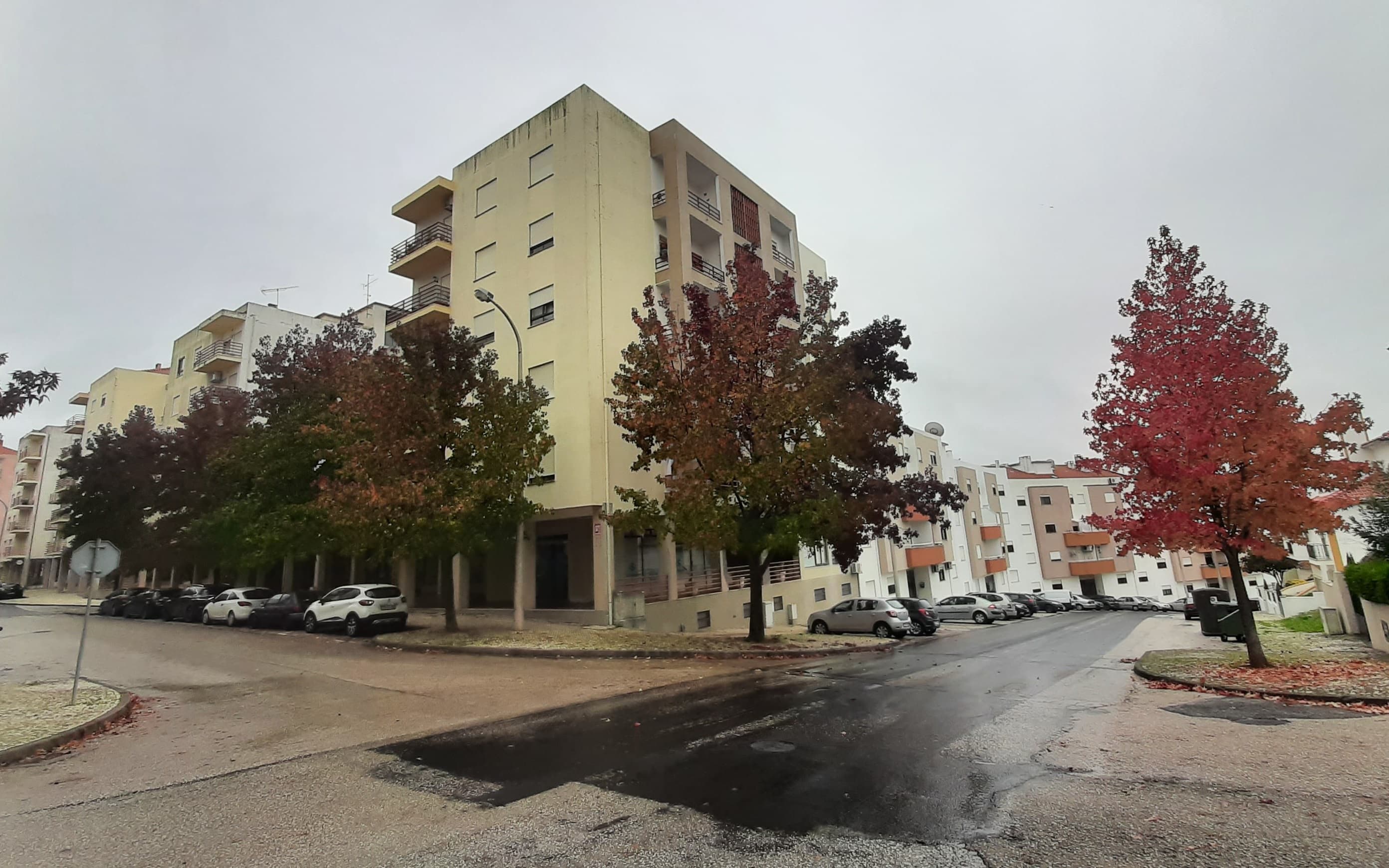 Loja · Torres Novas, Santarém — imagem 3