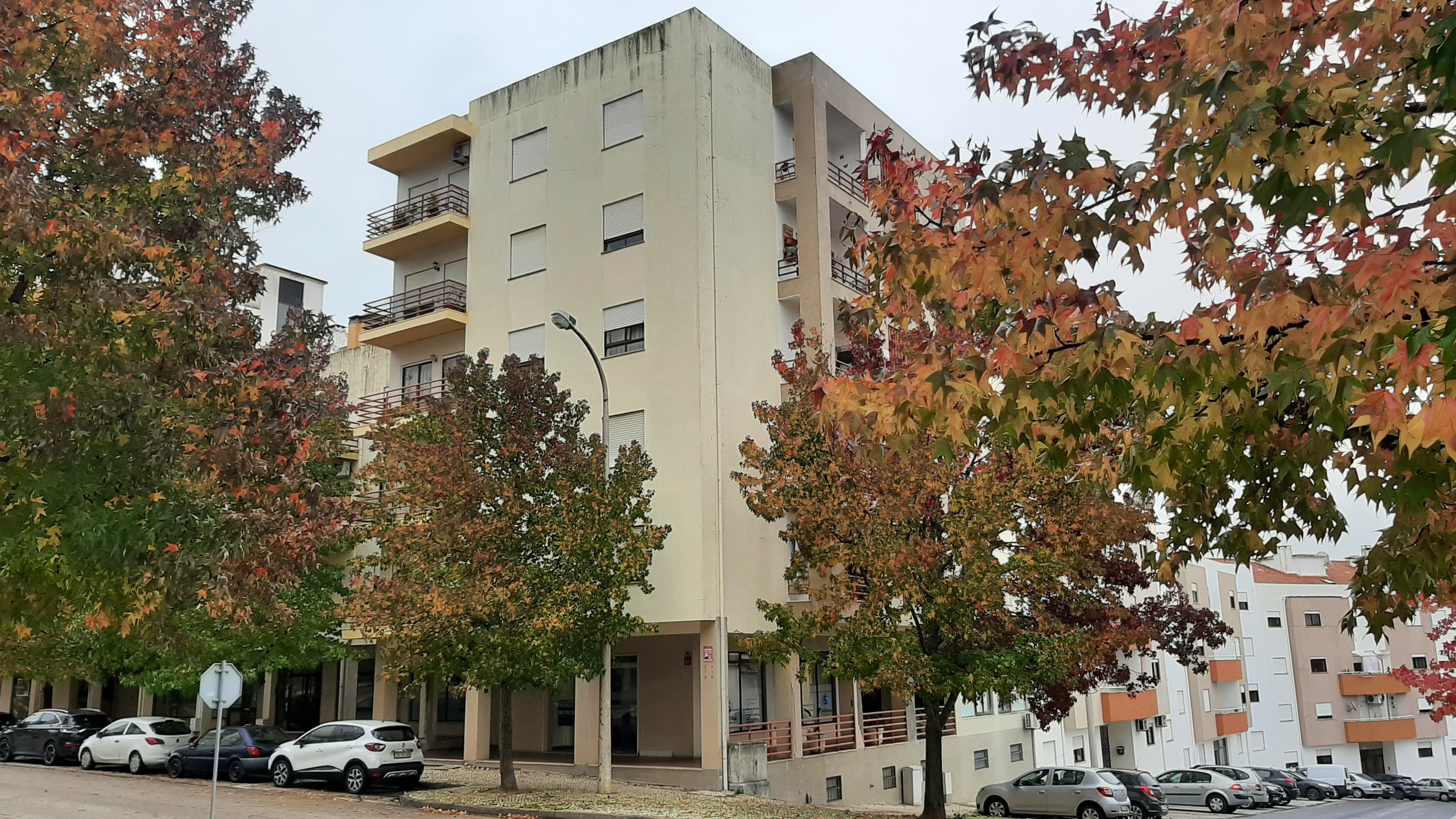 Loja · Torres Novas, Santarém — imagem 2
