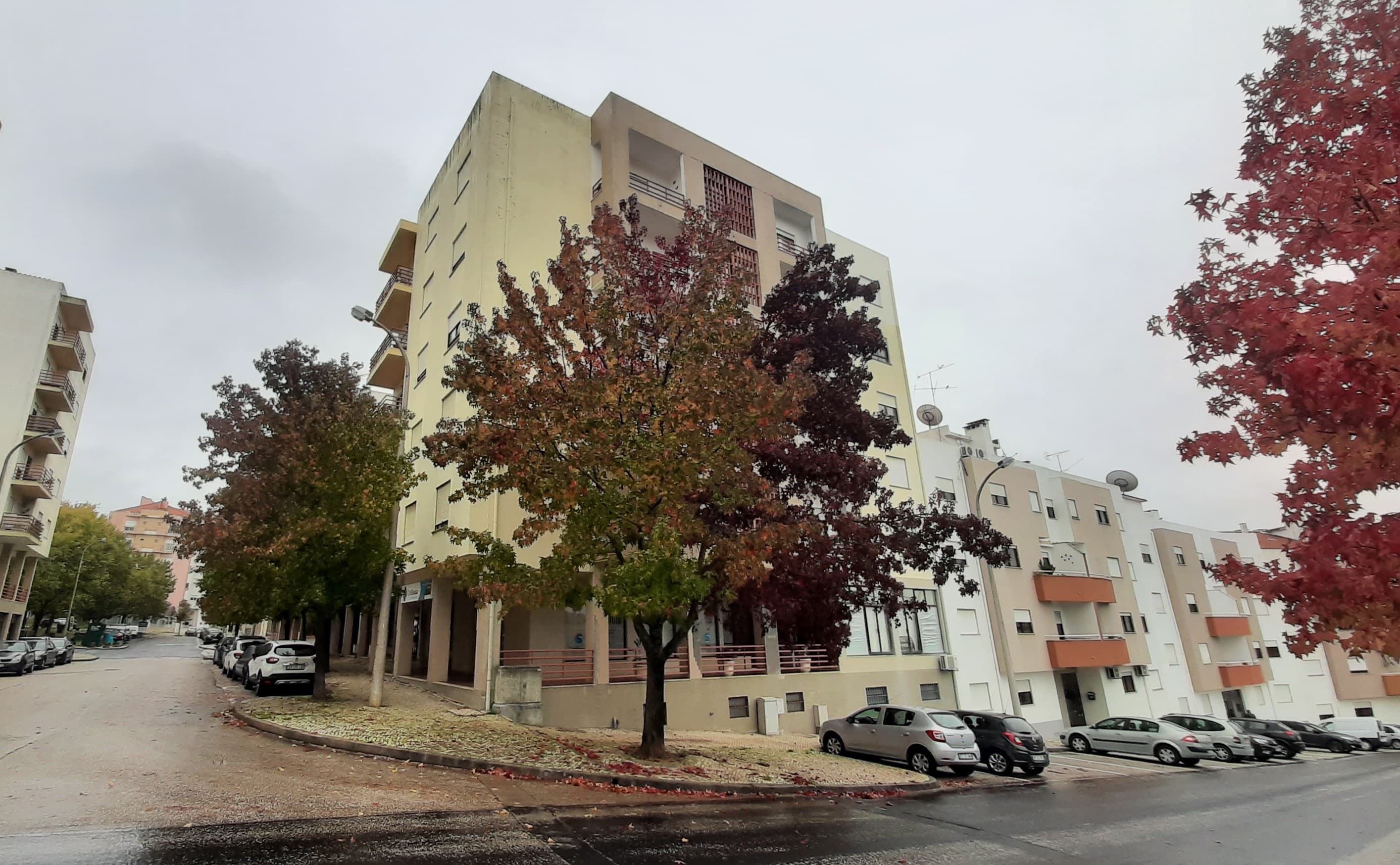 Loja · Torres Novas, Santarém — imagem 4