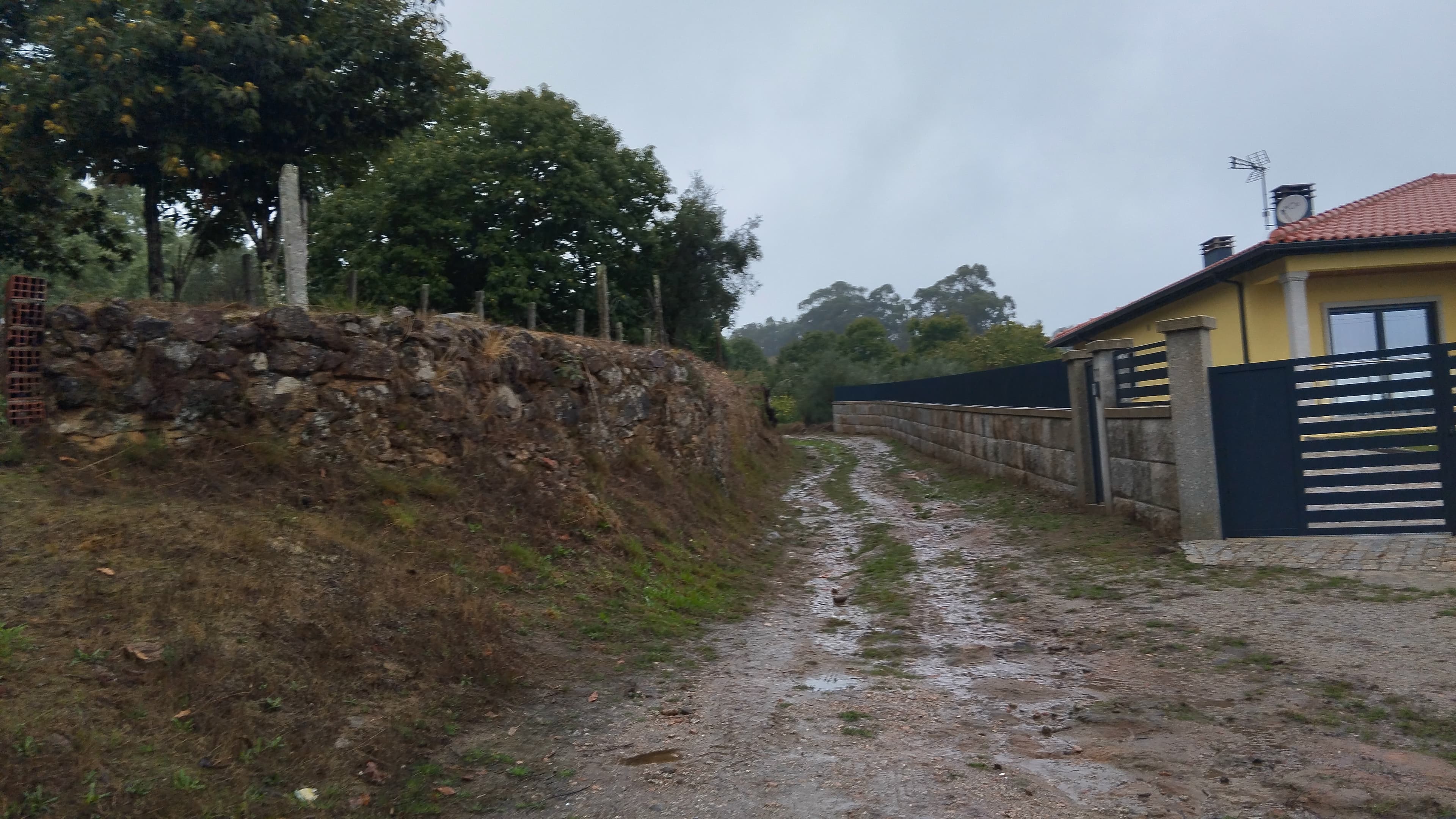Terreno com 9.200 m² · Tondela — imagem 4