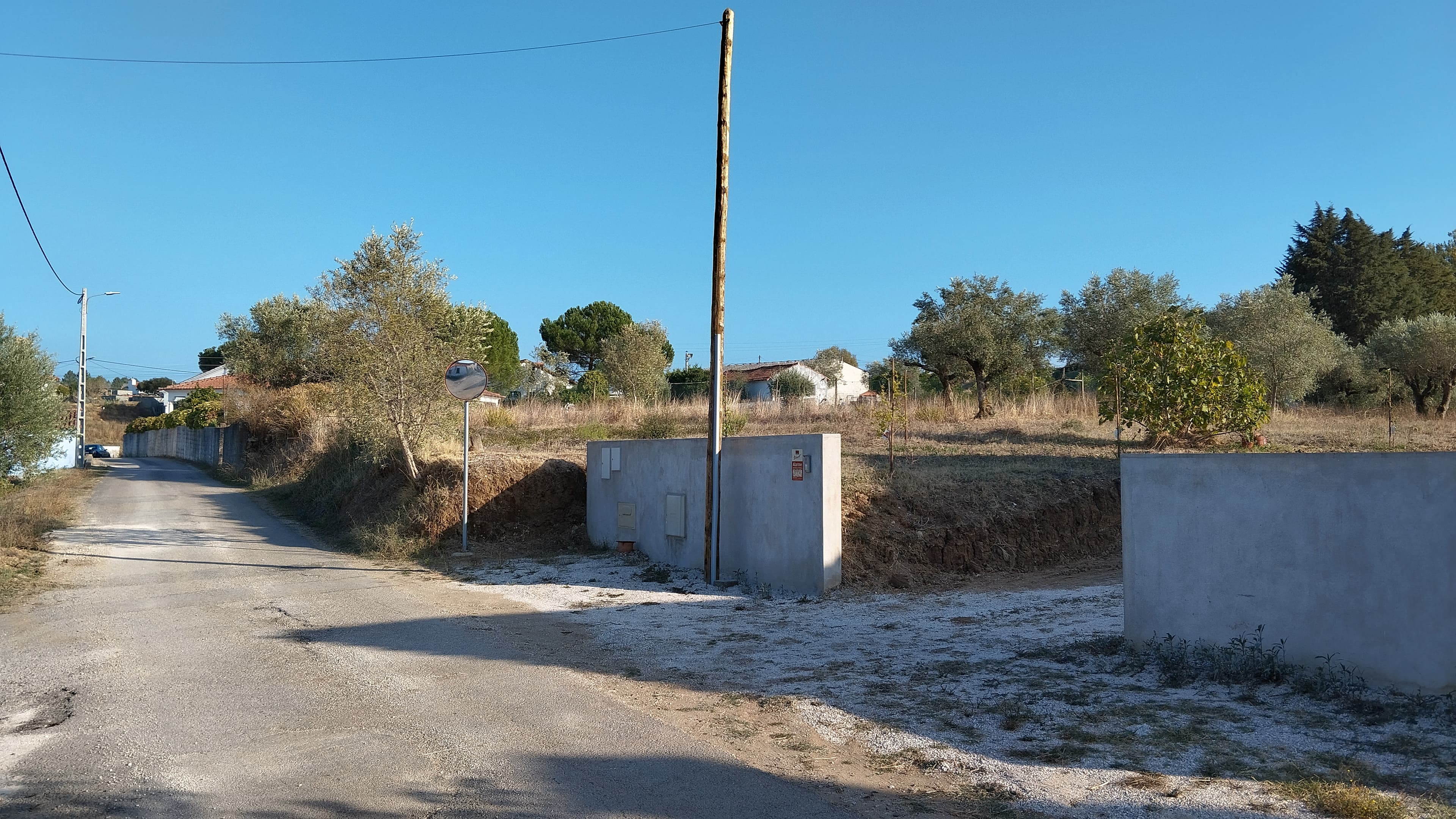 Proporção de 1/3 de Terreno · São Pedro de Tomar, Tomar — imagem 5