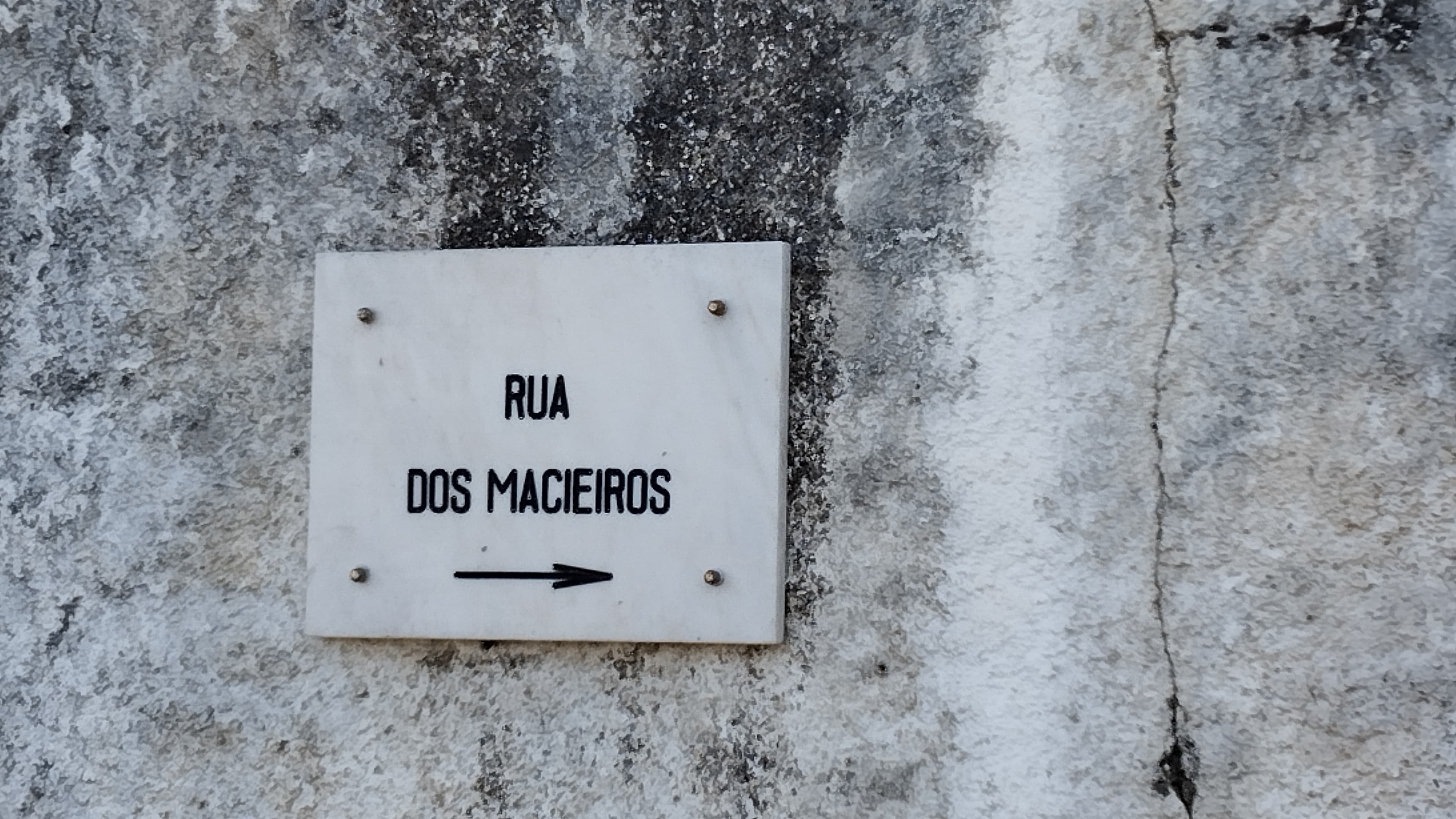 Proporção de 1/3 de Terreno · São Pedro de Tomar, Tomar — imagem 6