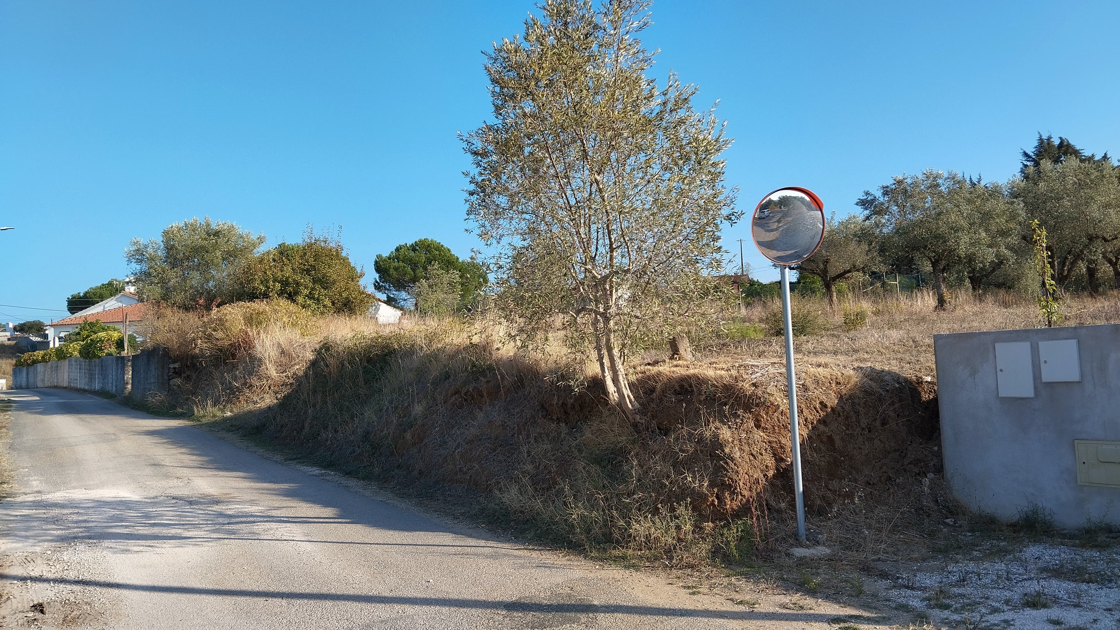 Proporção de 1/3 de Terreno · São Pedro de Tomar, Tomar — imagem 4