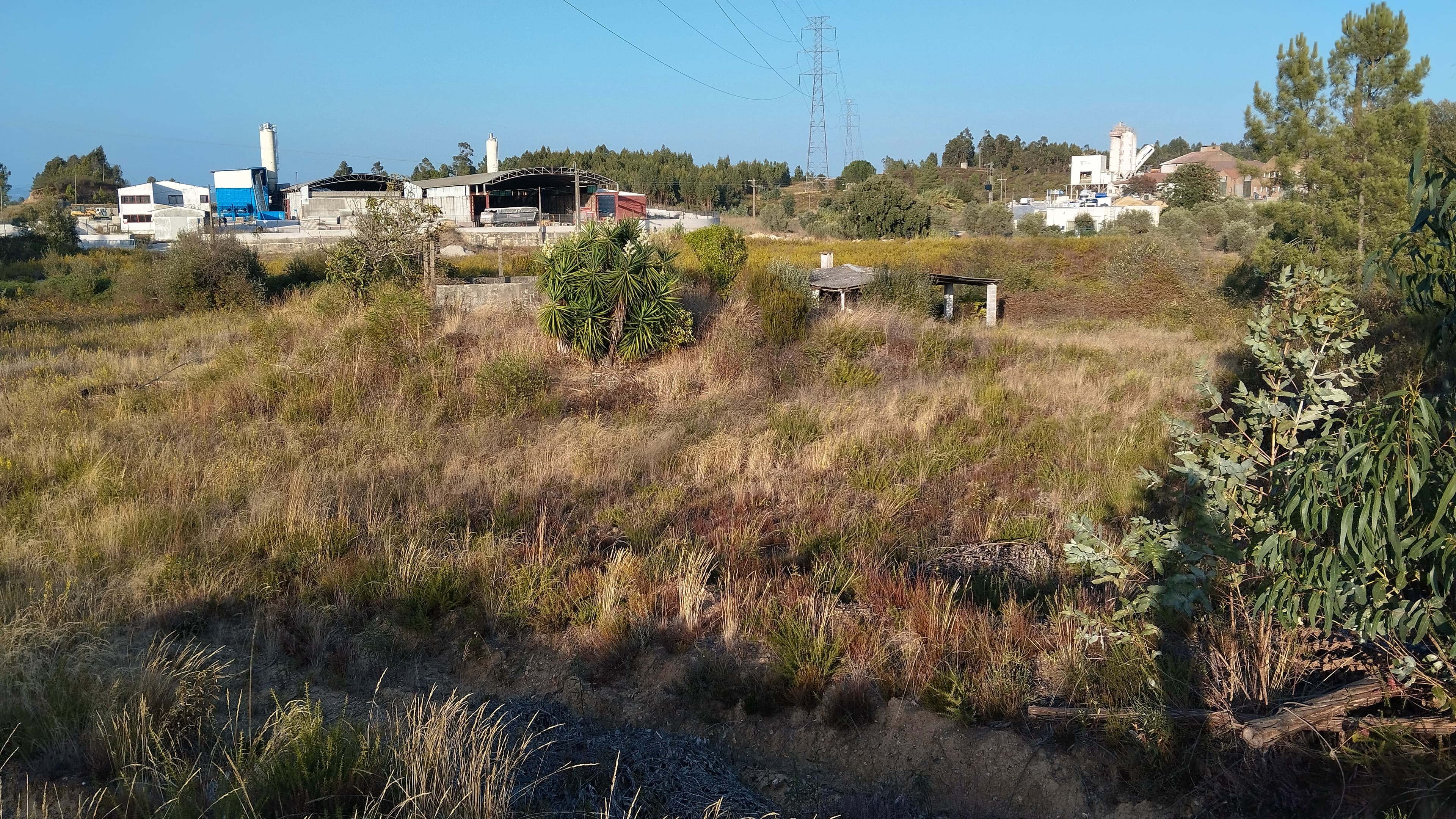 Proporção 1/3 de Terreno · Asseiceira, Tomar — imagem 7